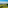 Helicopter over rolling green vineyards and hilltop village in a sunny wine region.