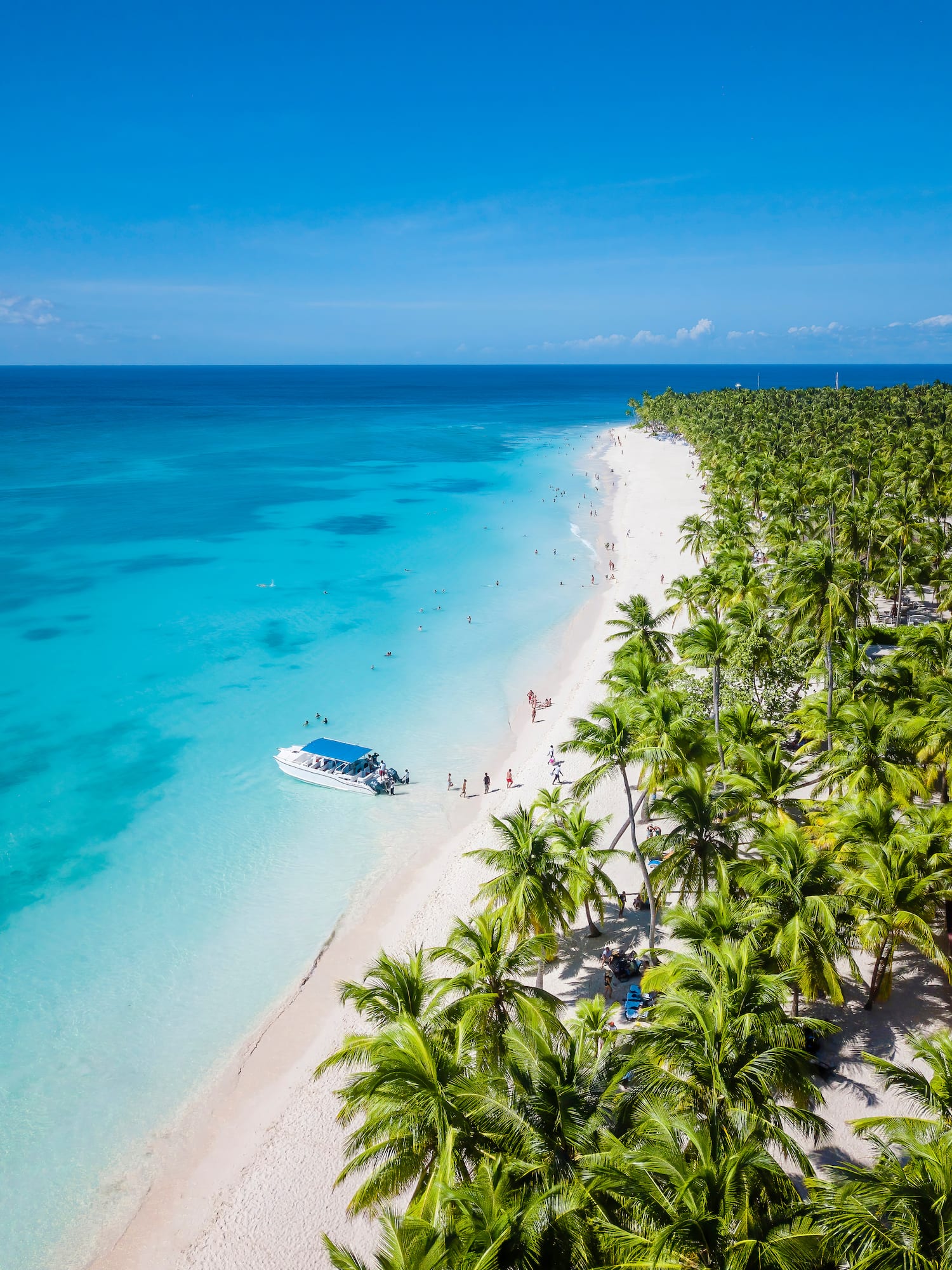 Tropical white sand beach, turquoise water, palm trees, people, boat.
