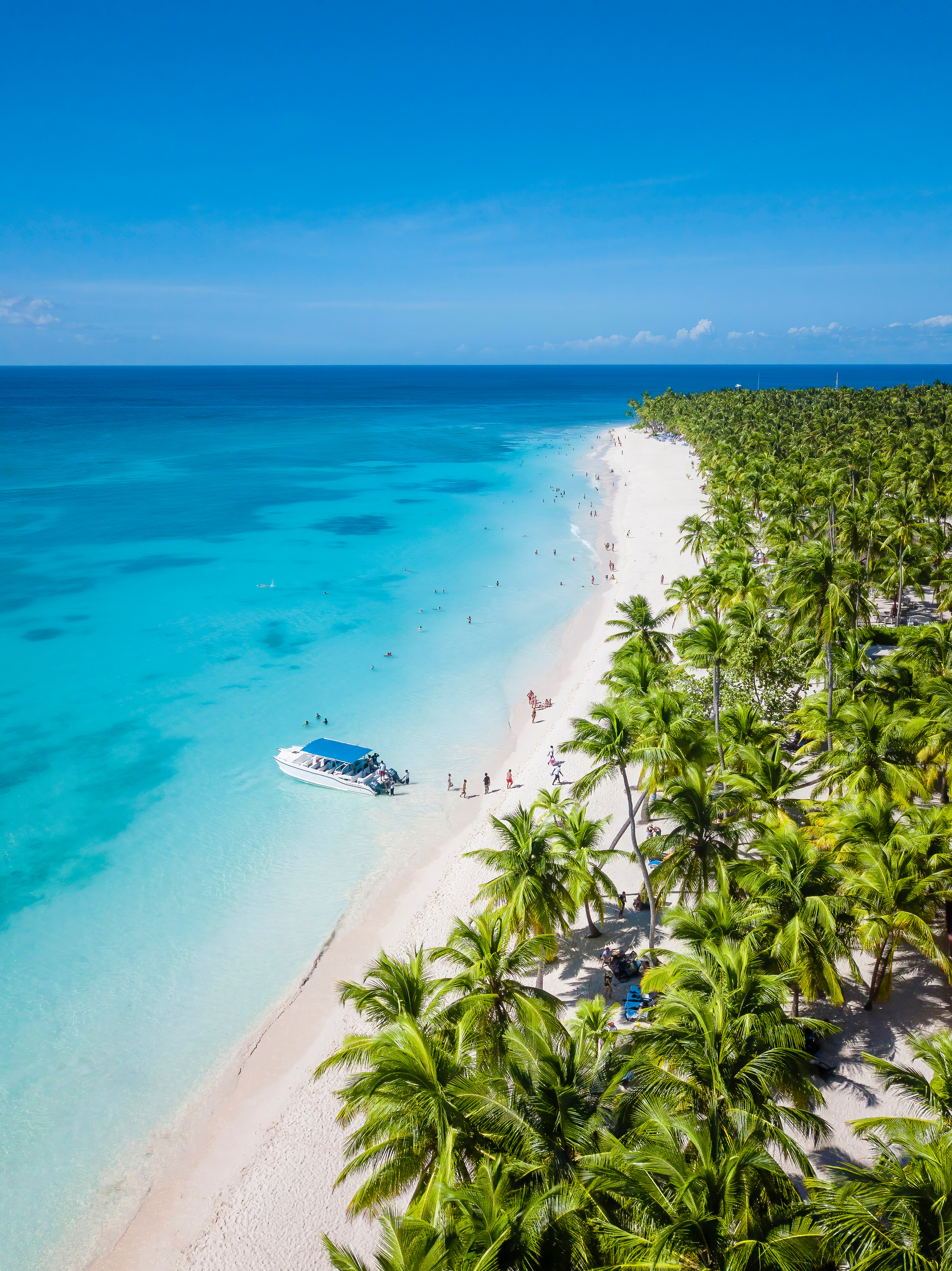Tropical white sand beach, turquoise water, palm trees, people, boat.