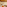 Luxury resort bedroom with wood ceiling, coral decor, and orange soft furnishings.
