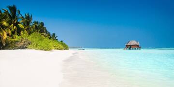 a beach with a hut and trees