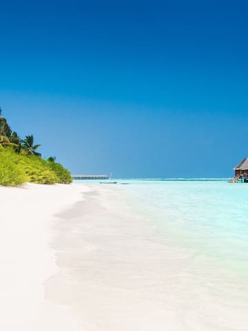 a beach with a hut and trees