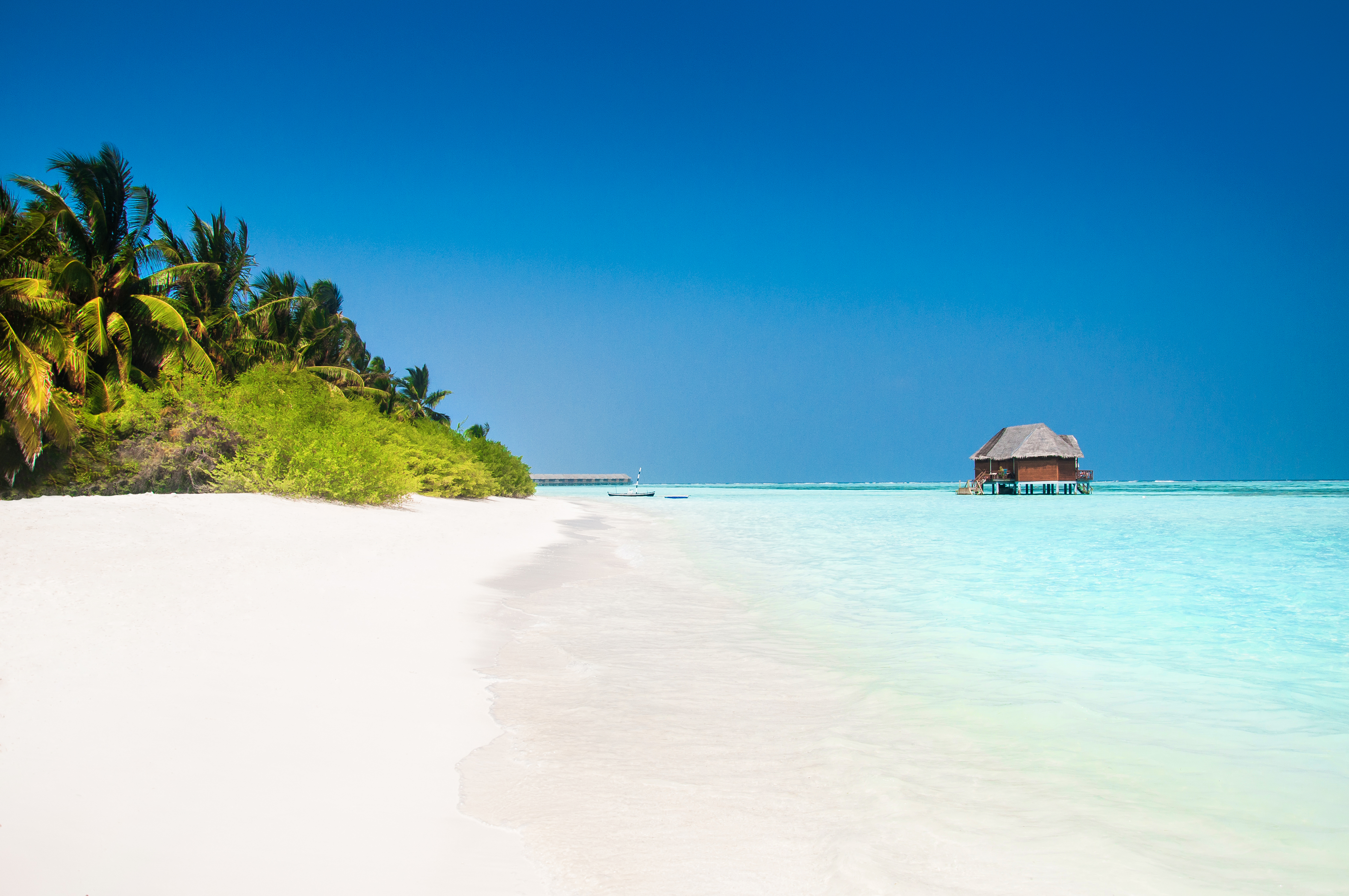 a beach with a hut and trees