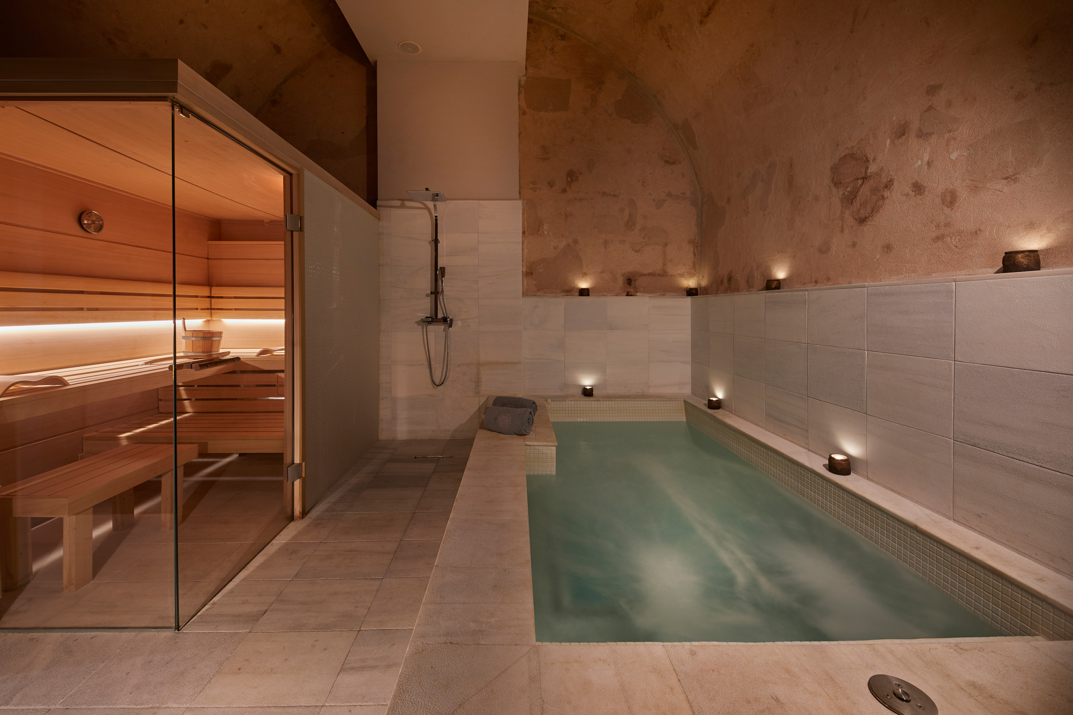 Modern wooden sauna and spa pool with shower in a rustic wellness room.