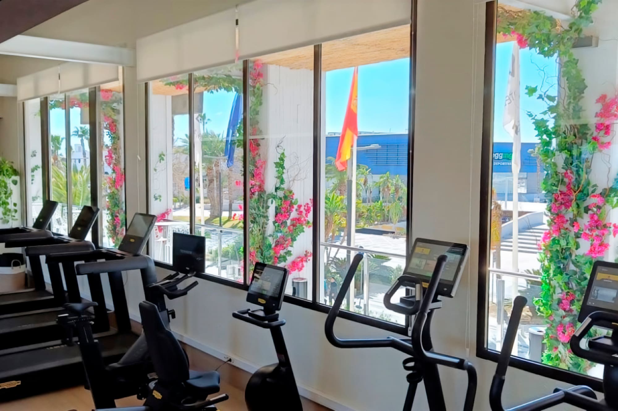 Sunny gym with exercise equipment and large windows overlooking a tropical view.