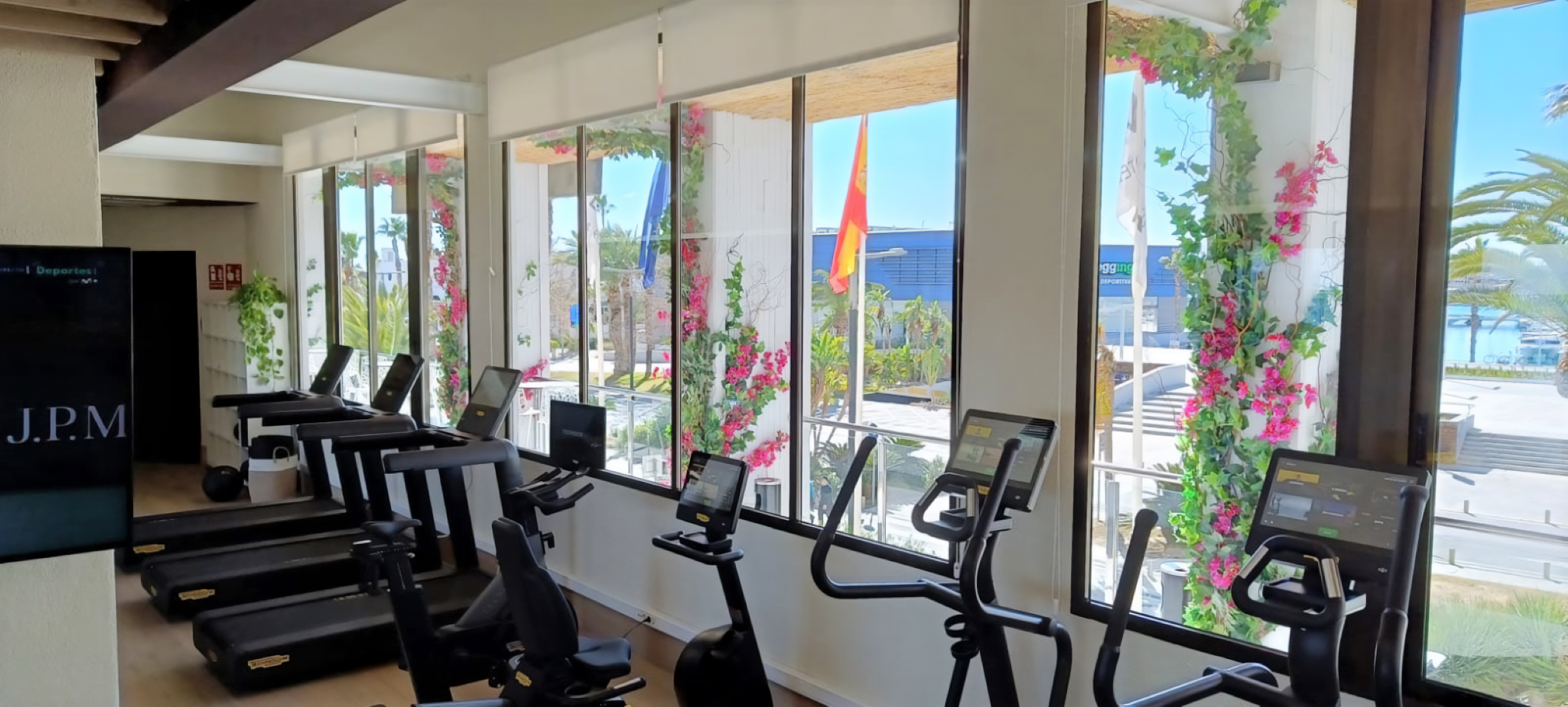 Sunny gym with exercise equipment and large windows overlooking a tropical view.