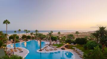 a pool with palm trees and chairs and a beach