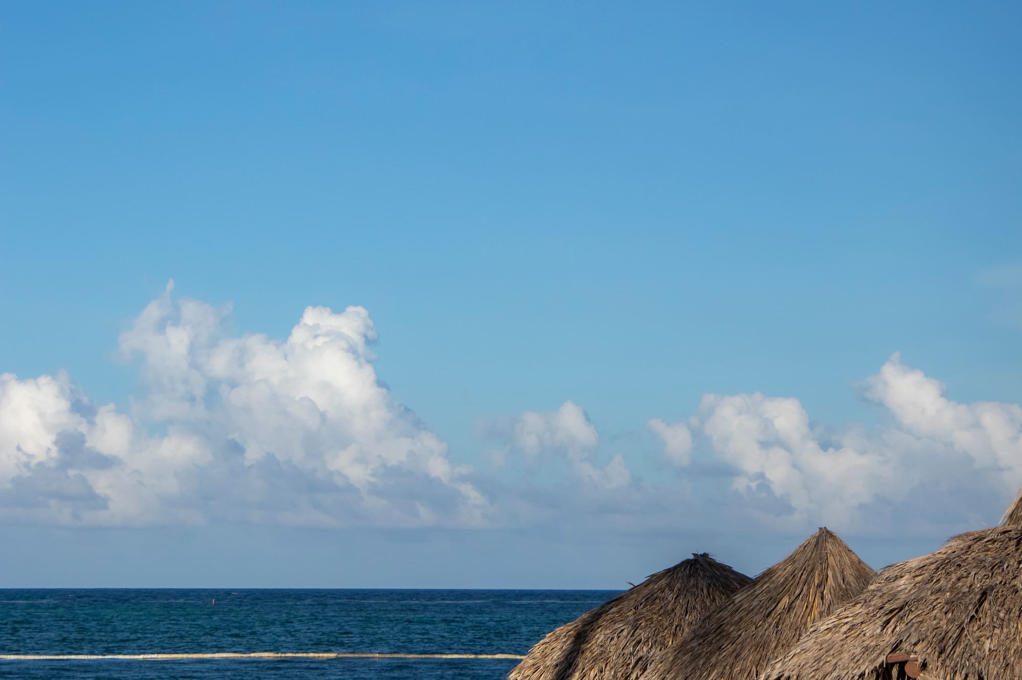 Playa de arena con sombrillas de palapa y tumbonas frente al mar azul.