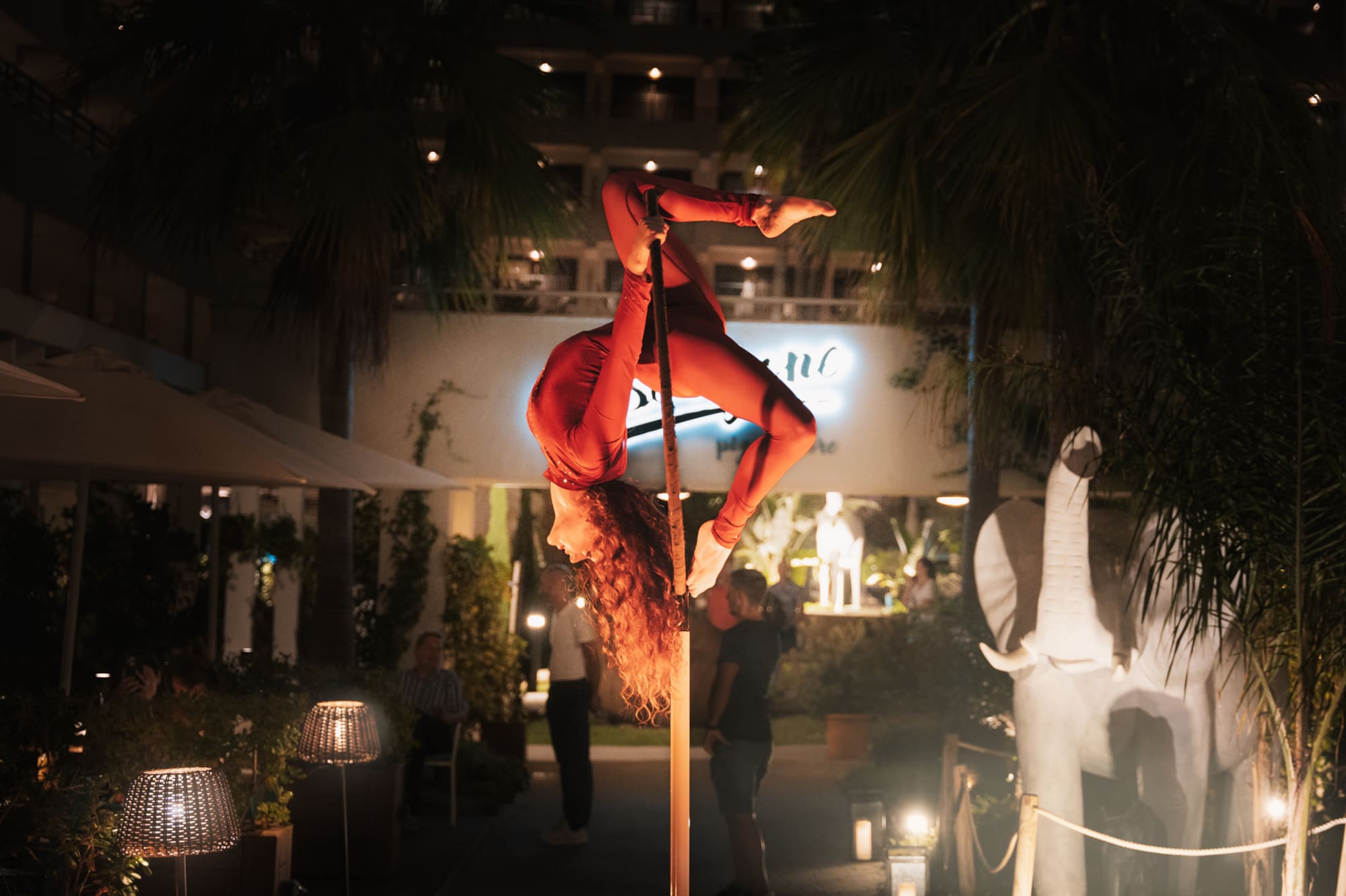 a woman on a pole