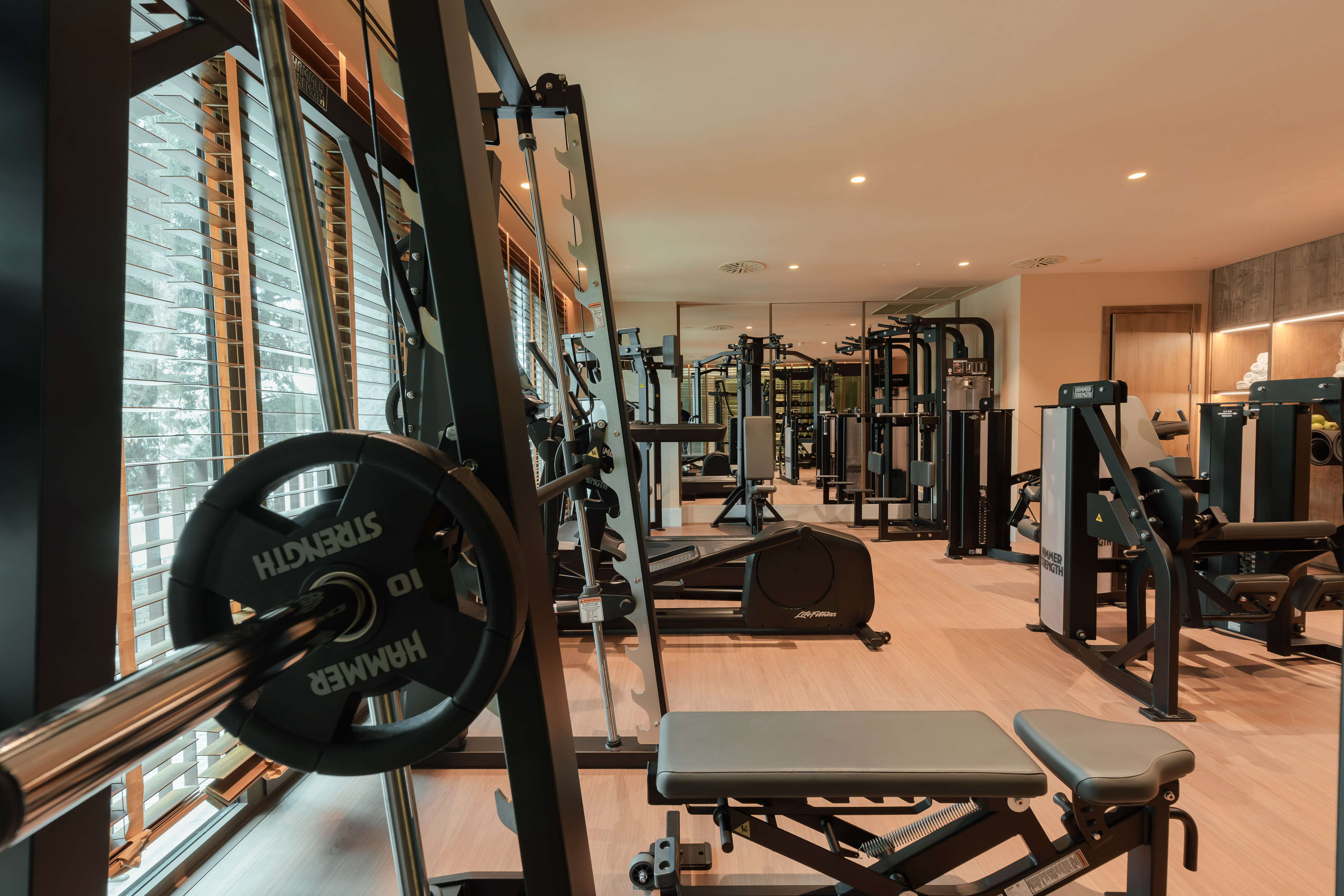 Modern gym interior with diverse fitness equipment, strength machines, and cardio.