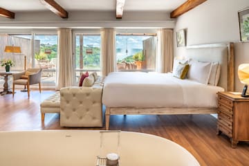 a room with a bed and a bathtub