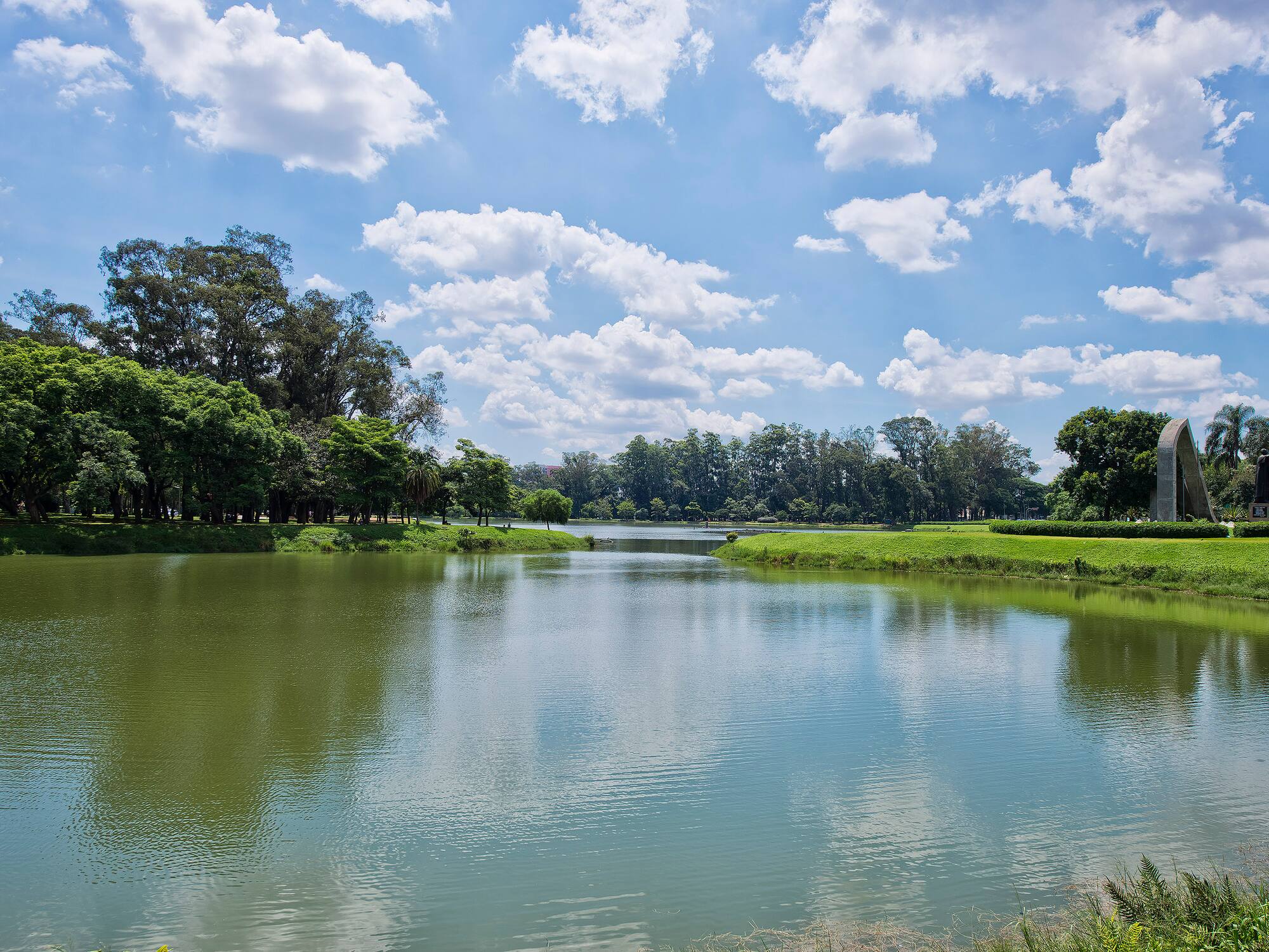 a body of water with trees and grass around it