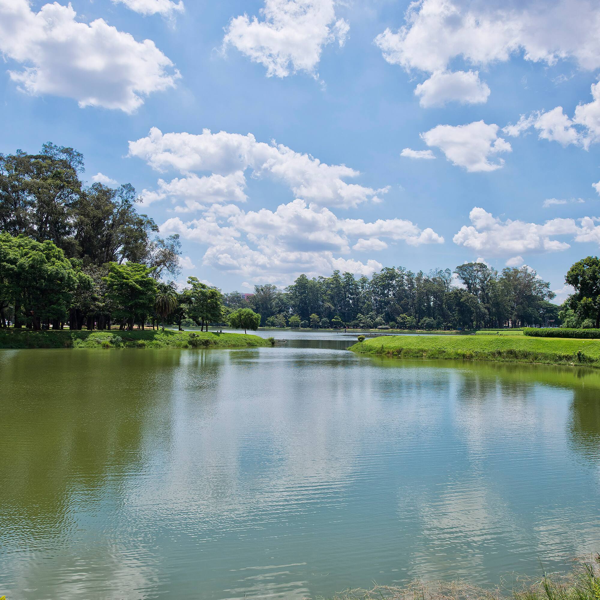 a body of water with trees and grass around it