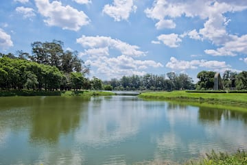 a body of water with trees and grass around it