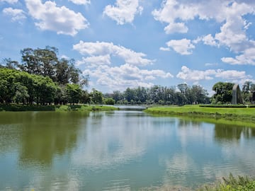 a body of water with trees and grass around it
