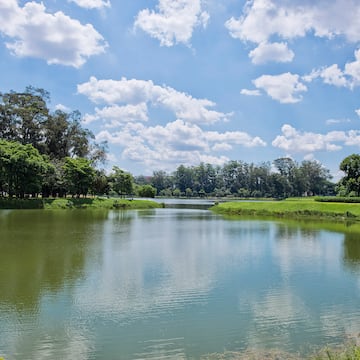 a body of water with trees and grass around it