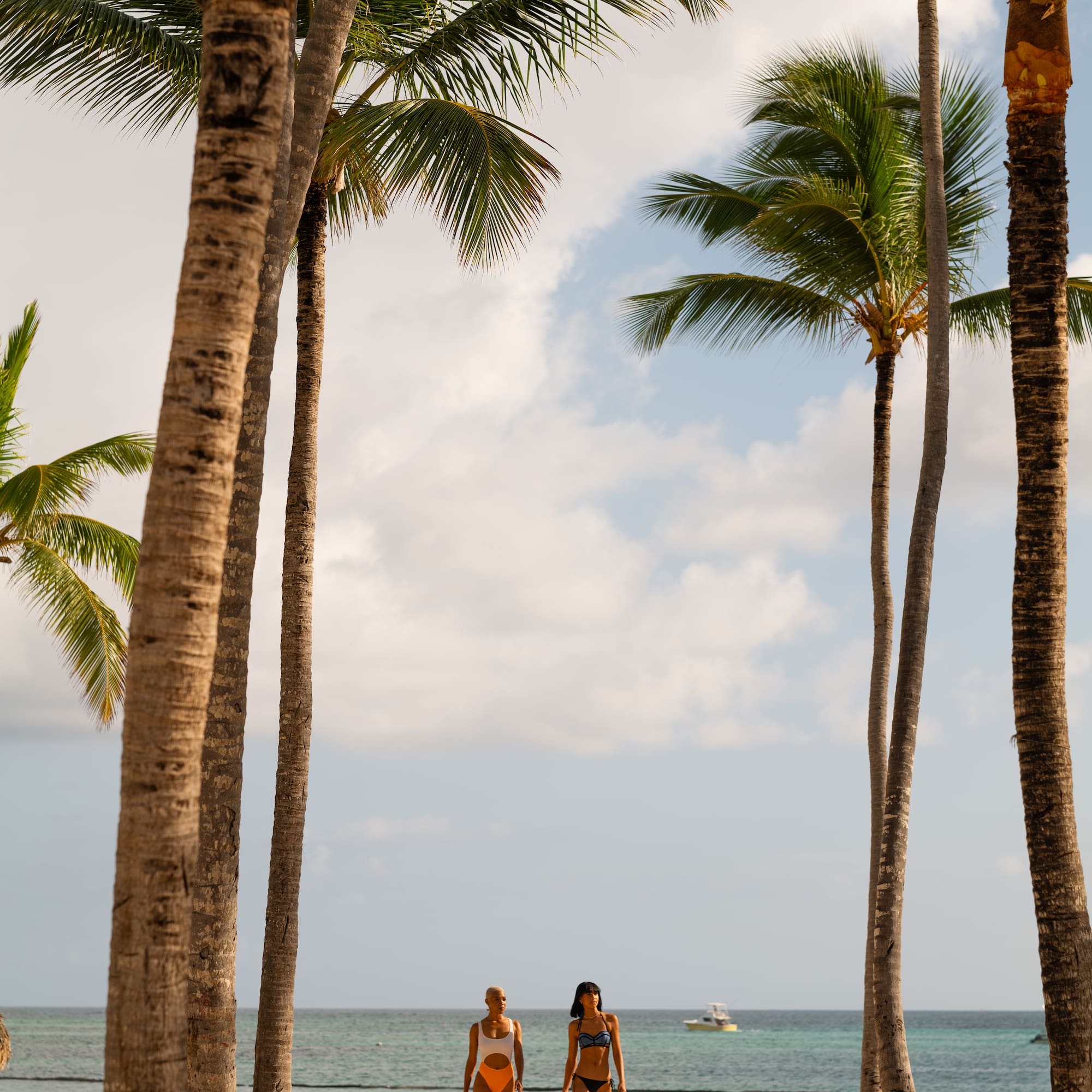 a group of women standing on a beach with palm trees