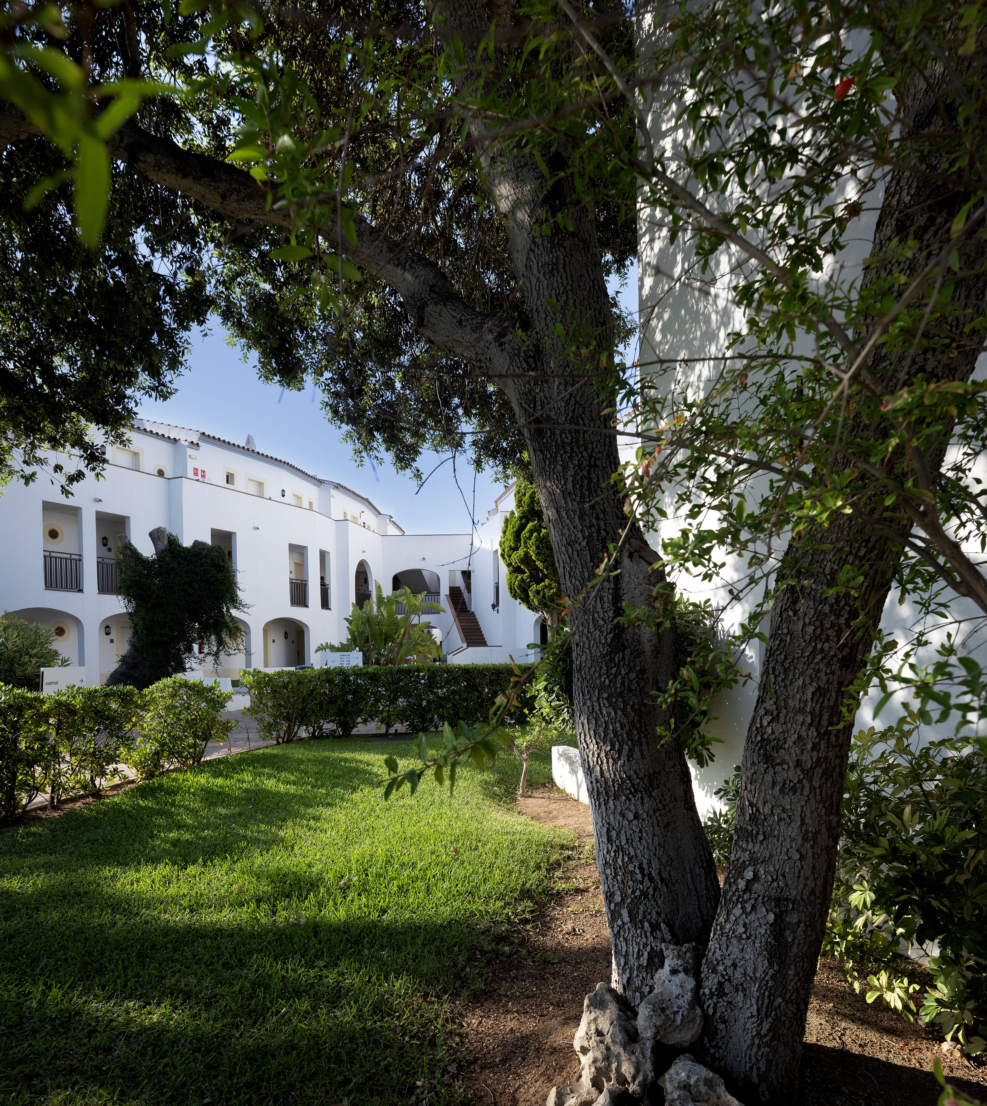 White Mediterranean buildings with green lawn and large trees in a sunny garden.