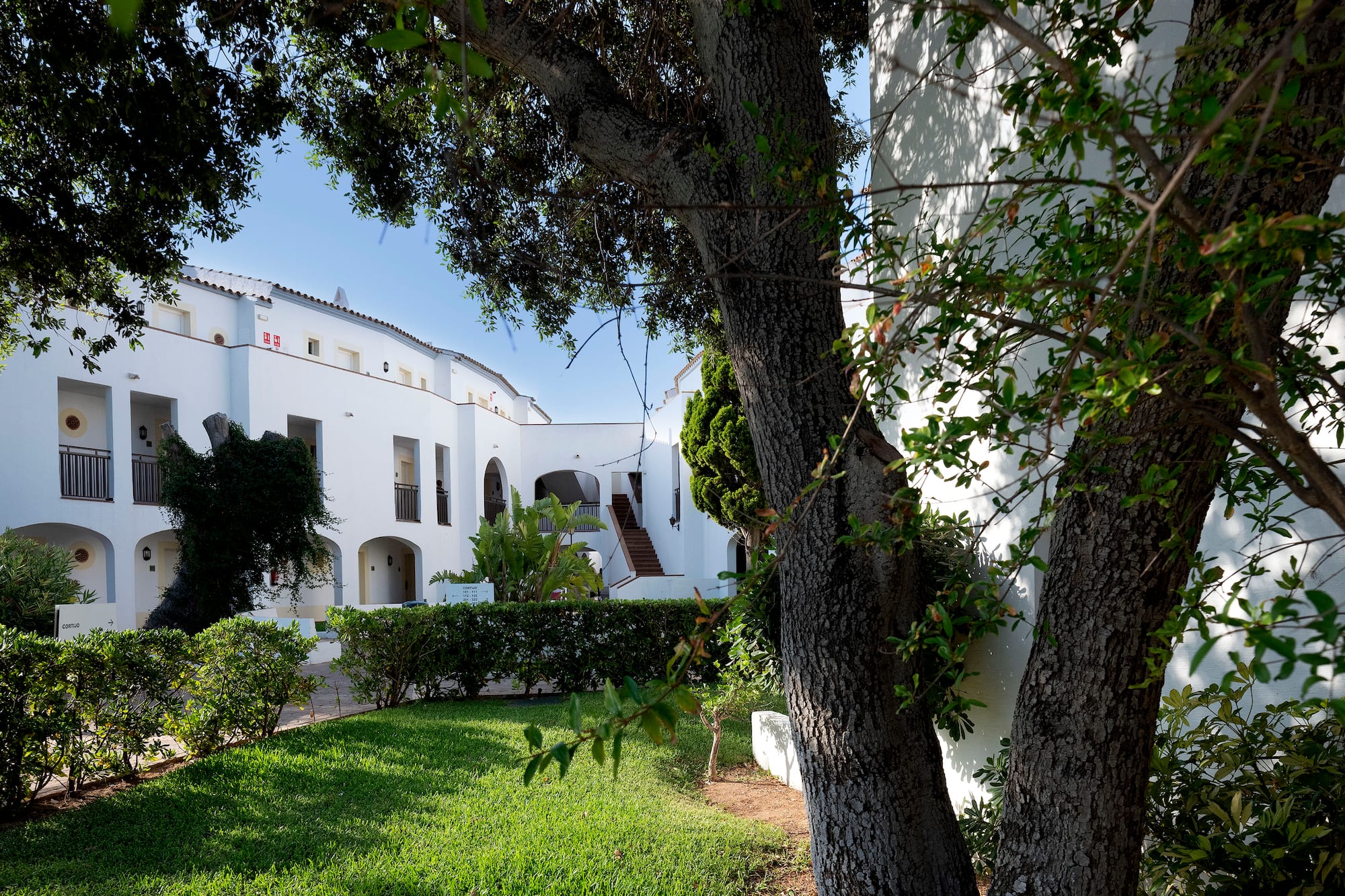 White Mediterranean buildings with green lawn and large trees in a sunny garden.