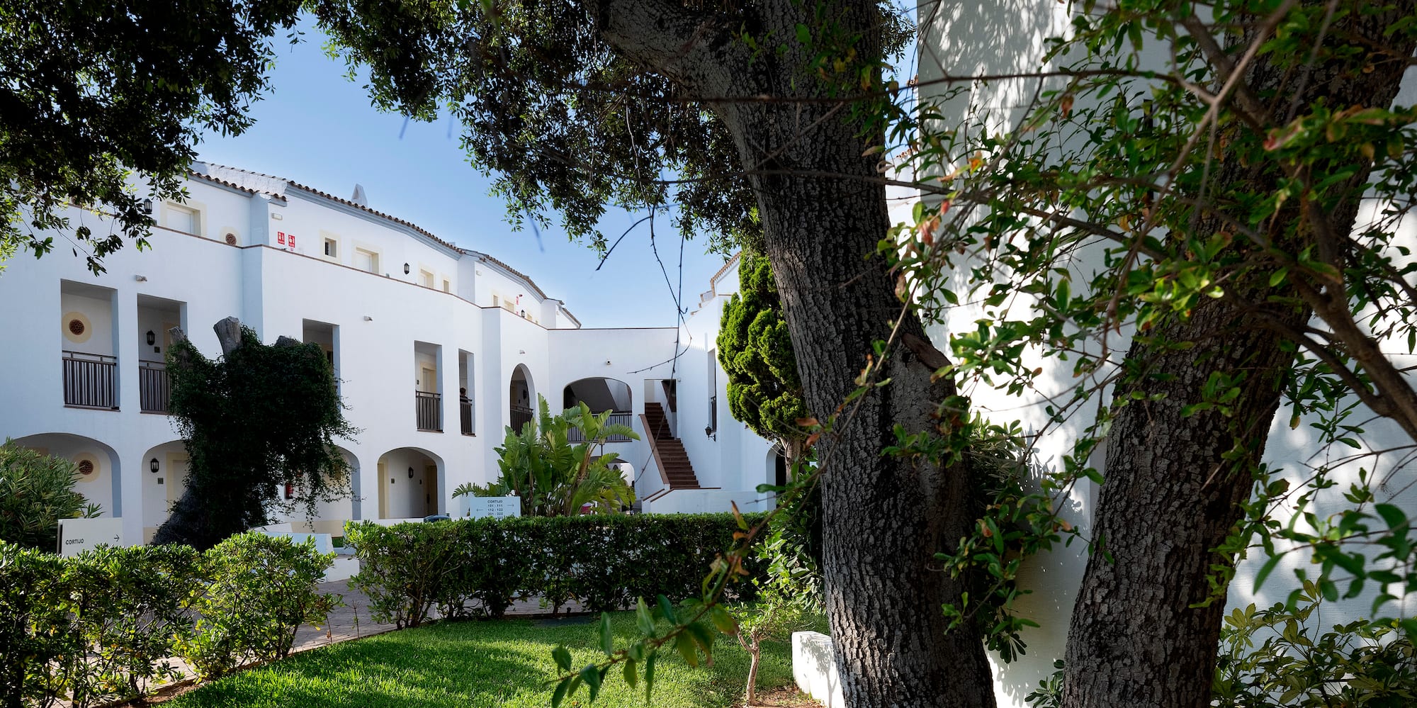 a tree in front of a building