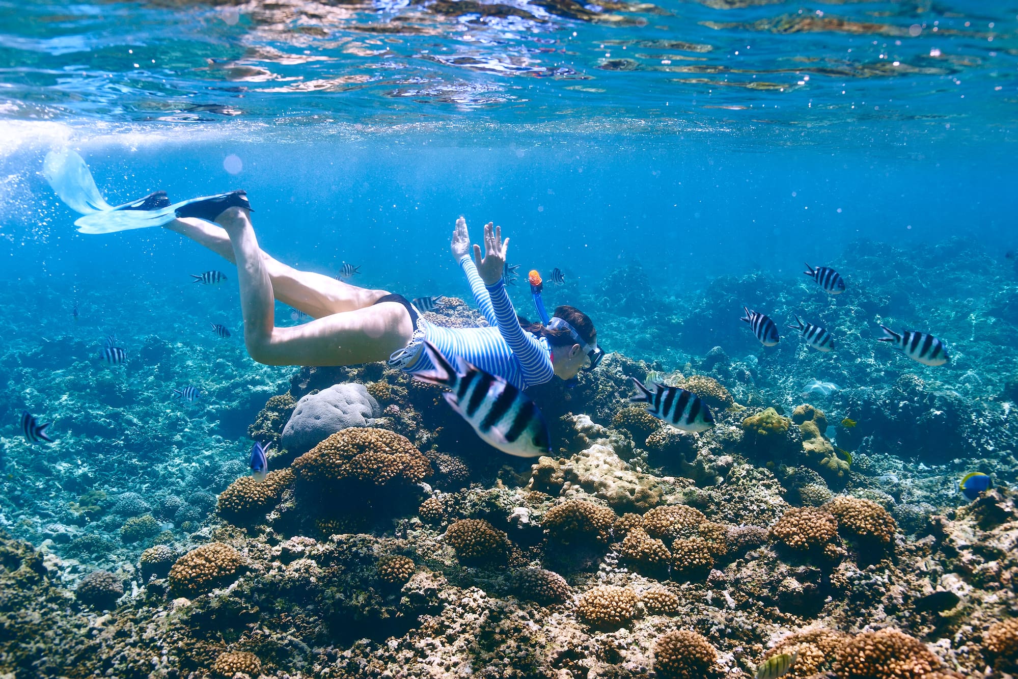 Mujer haciendo snorkel en arrecife de coral con peces en agua azul.