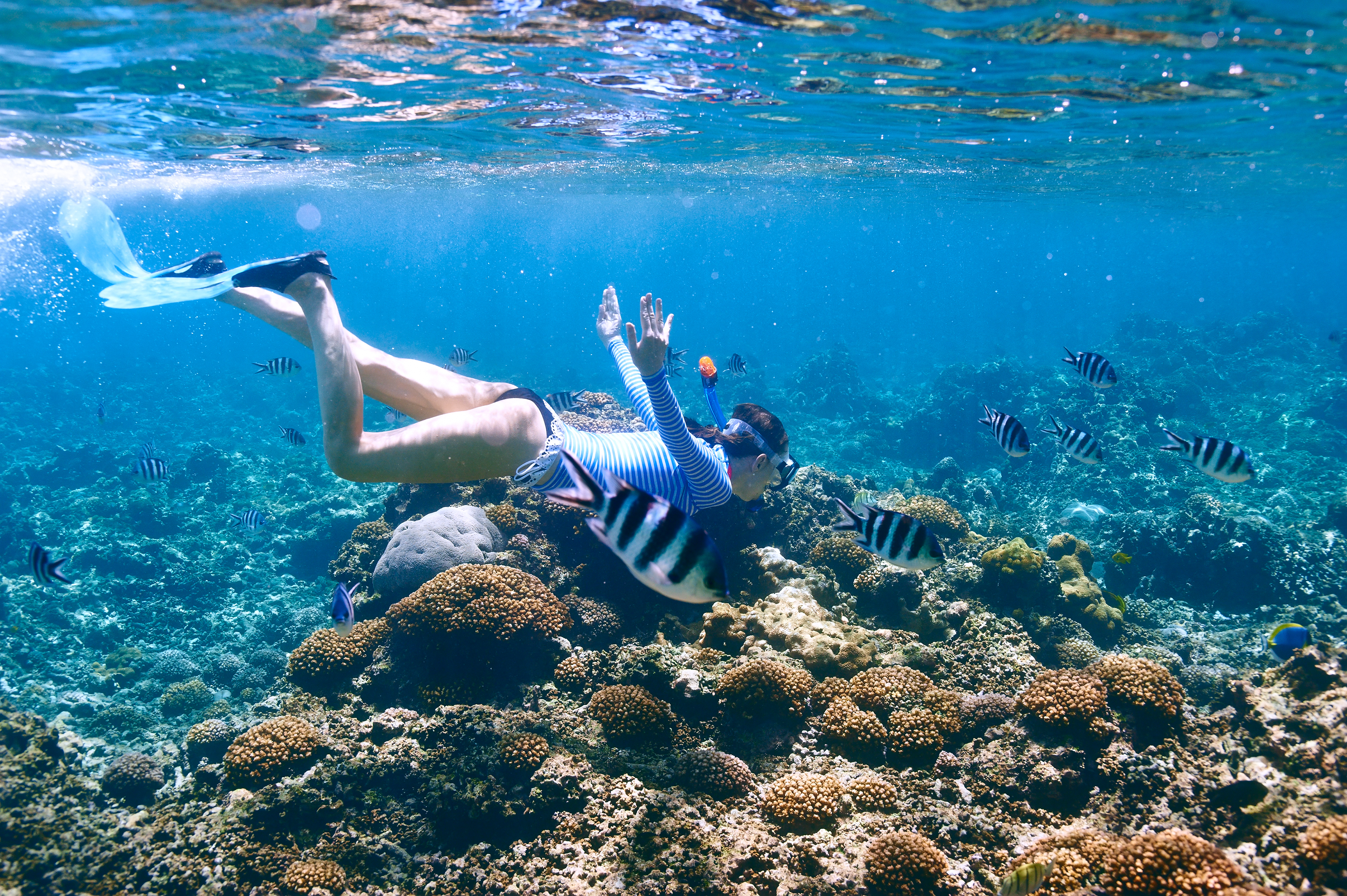 Mujer haciendo snorkel en arrecife de coral con peces en agua azul.