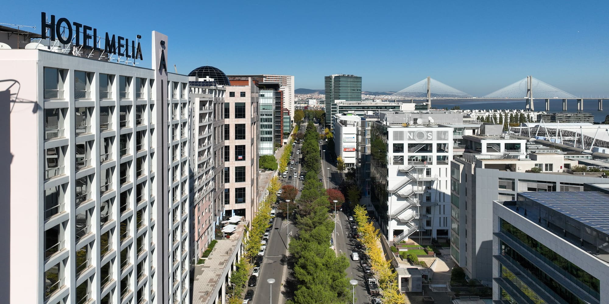 a city with trees and buildings