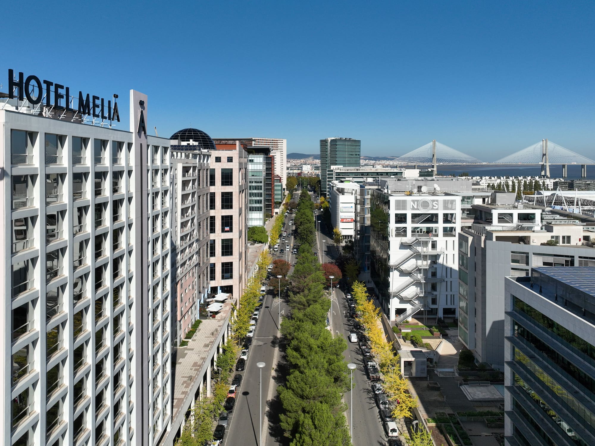 a city with trees and buildings