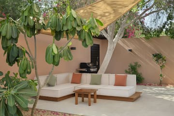 a couch and table under a tree