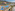 Aerial view of coastal resort with pools, palm trees, hotels, and beach.
