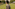 a blurry image of a person walking in a garden