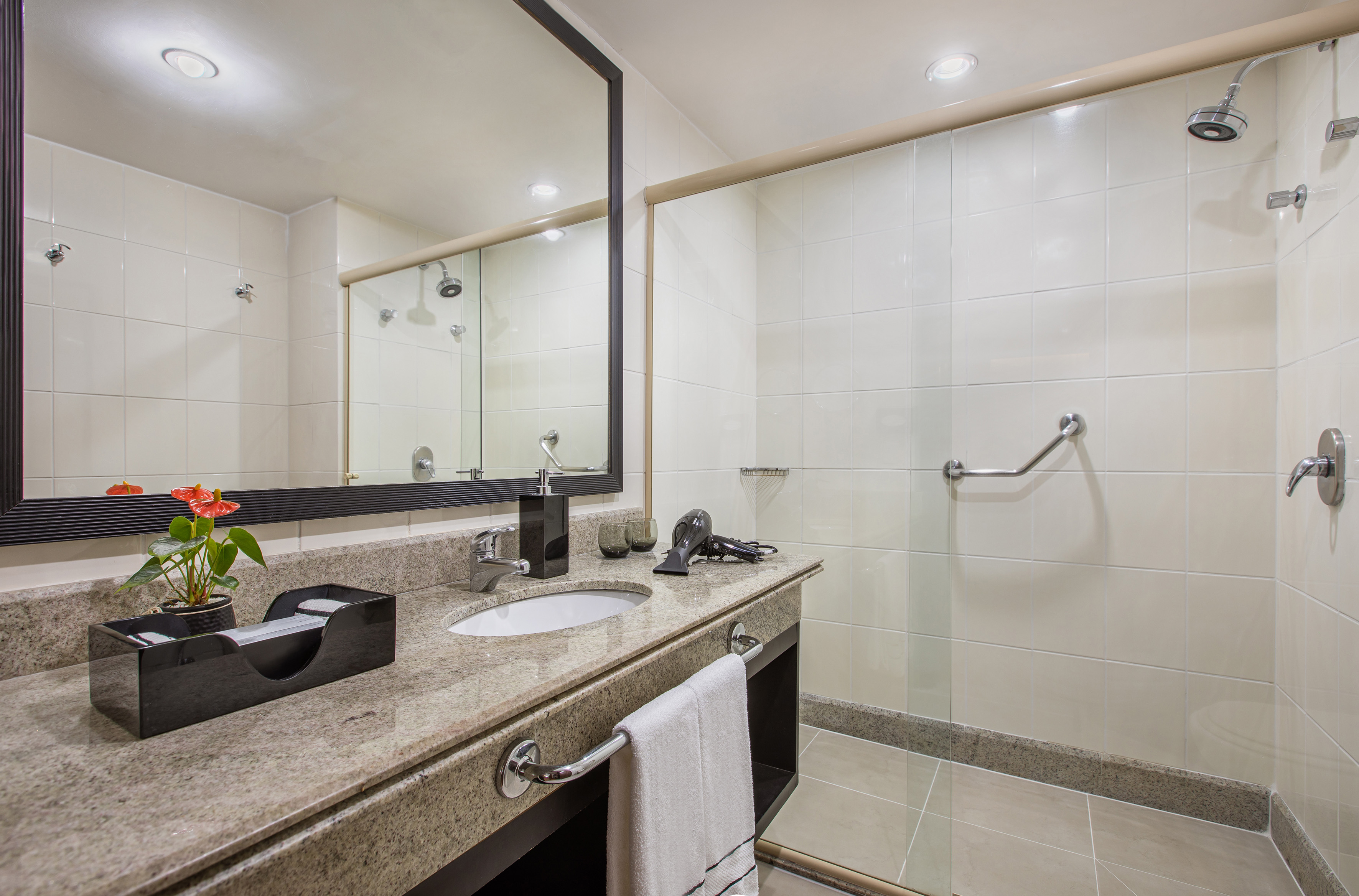 Hotel bathroom: granite vanity, large mirror, sink, and accessible shower.