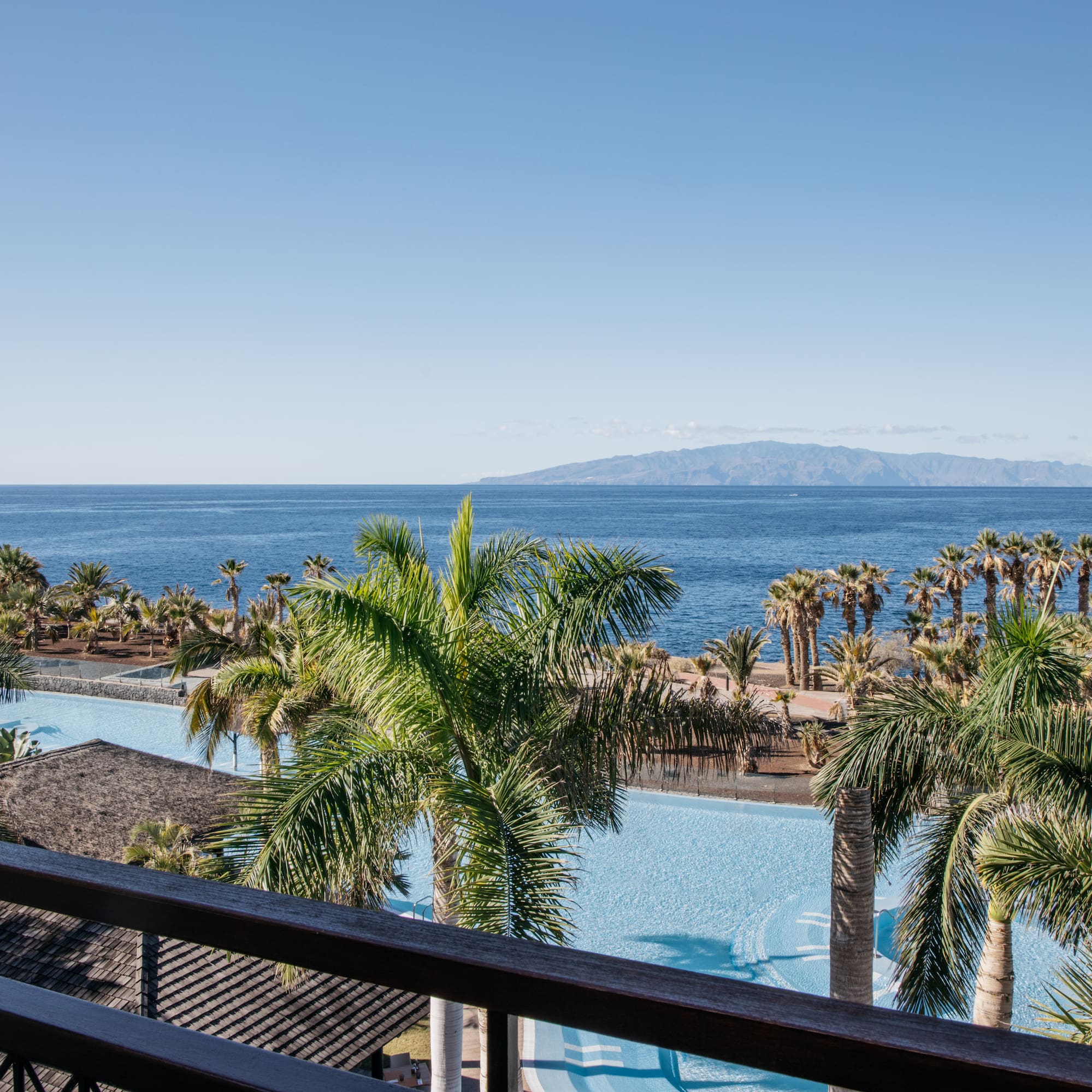 a pool with palm trees and a body of water