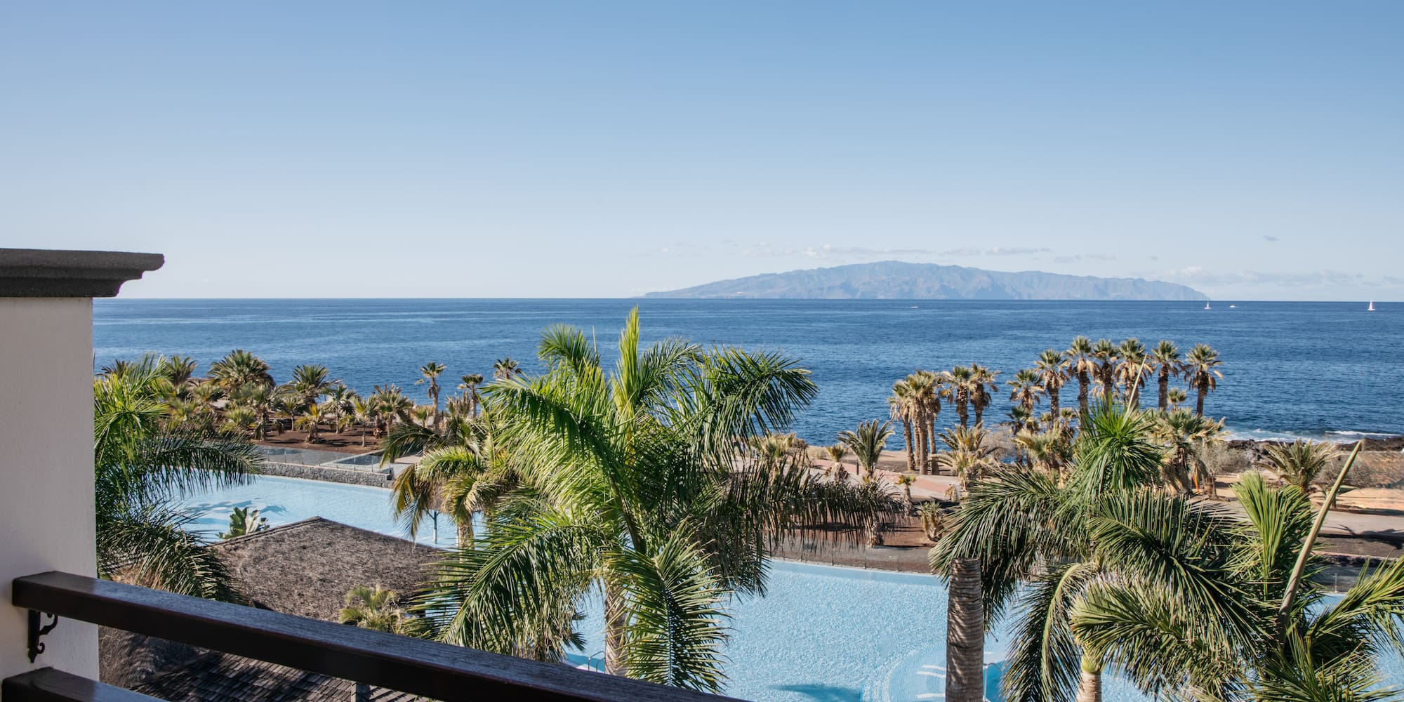 a pool with palm trees and a body of water
