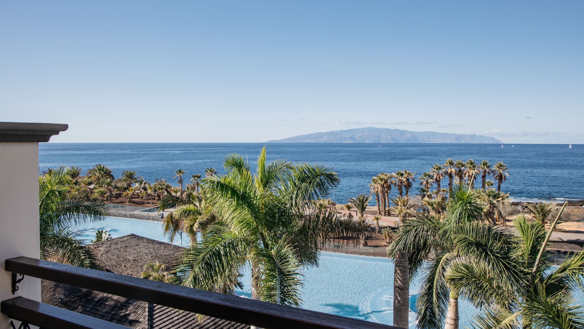 a pool with palm trees and a body of water