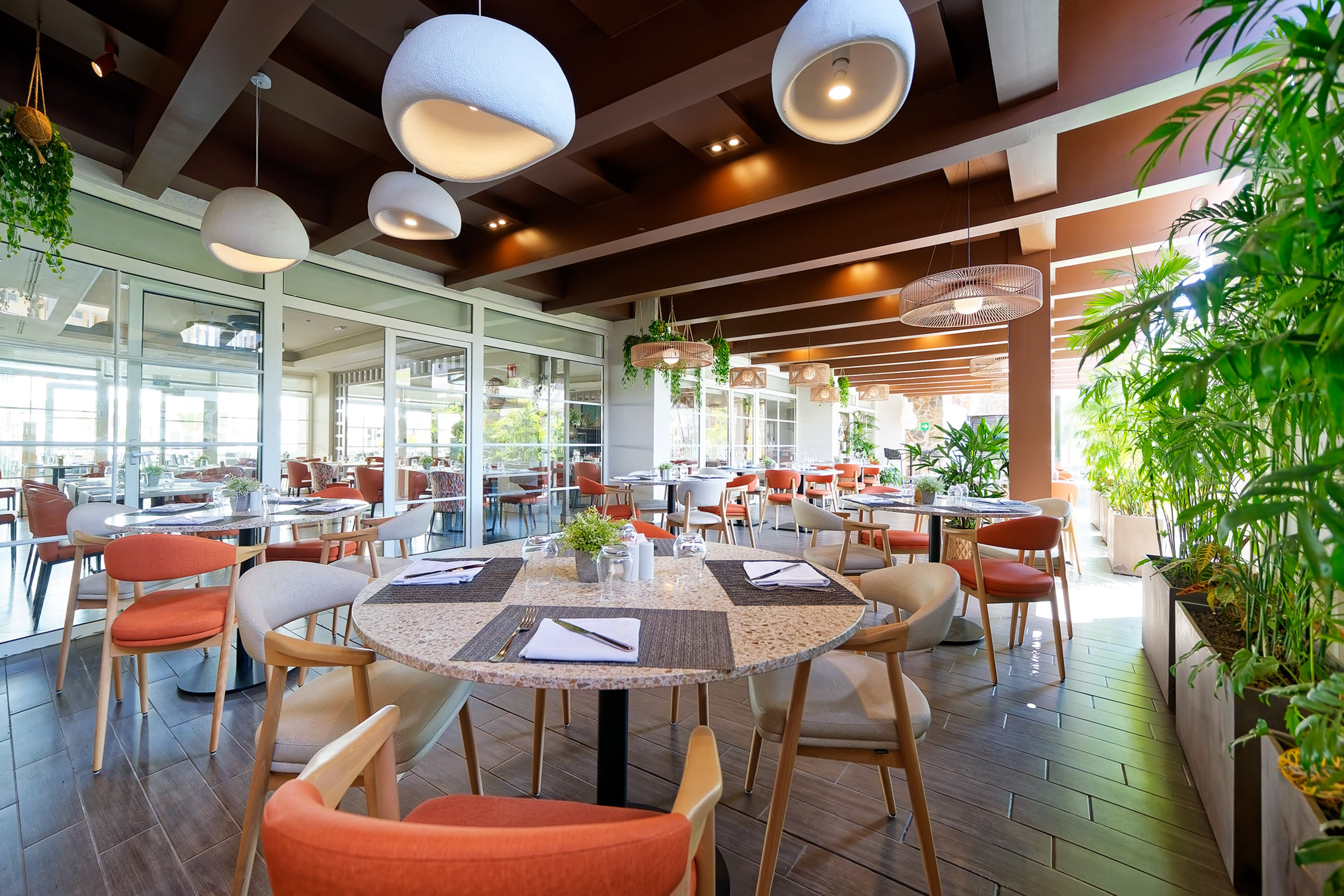 Modern restaurant dining room with natural light, orange chairs, and green plants.