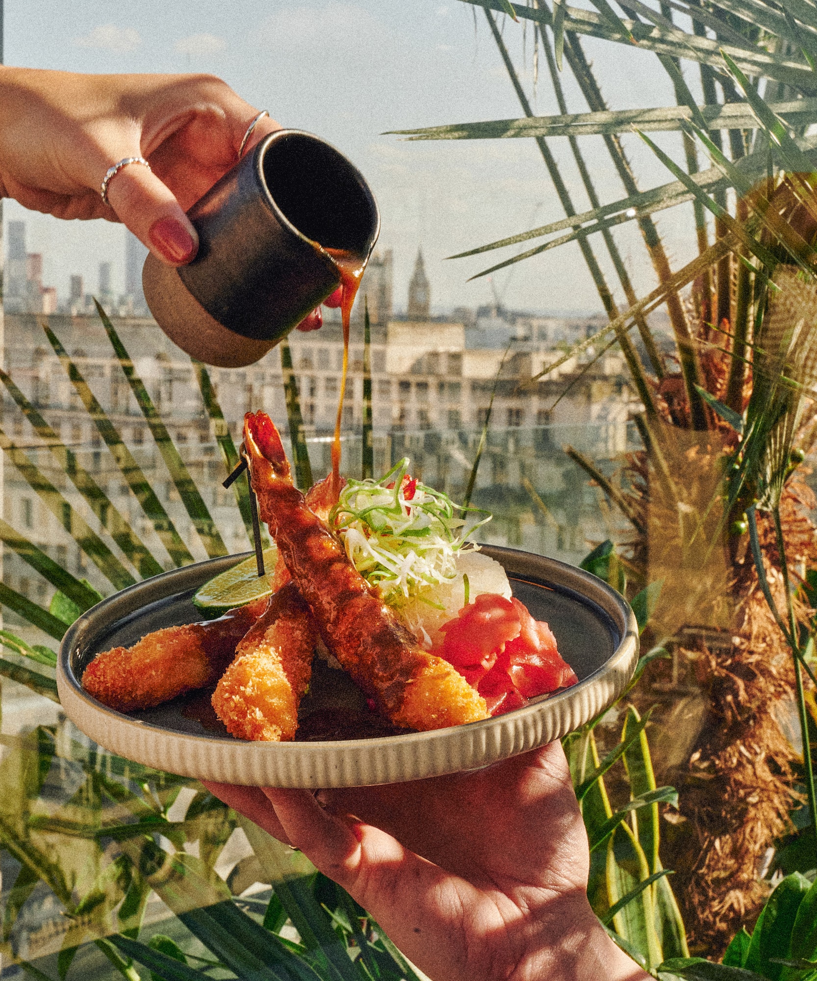 a person pouring sauce onto a plate of food