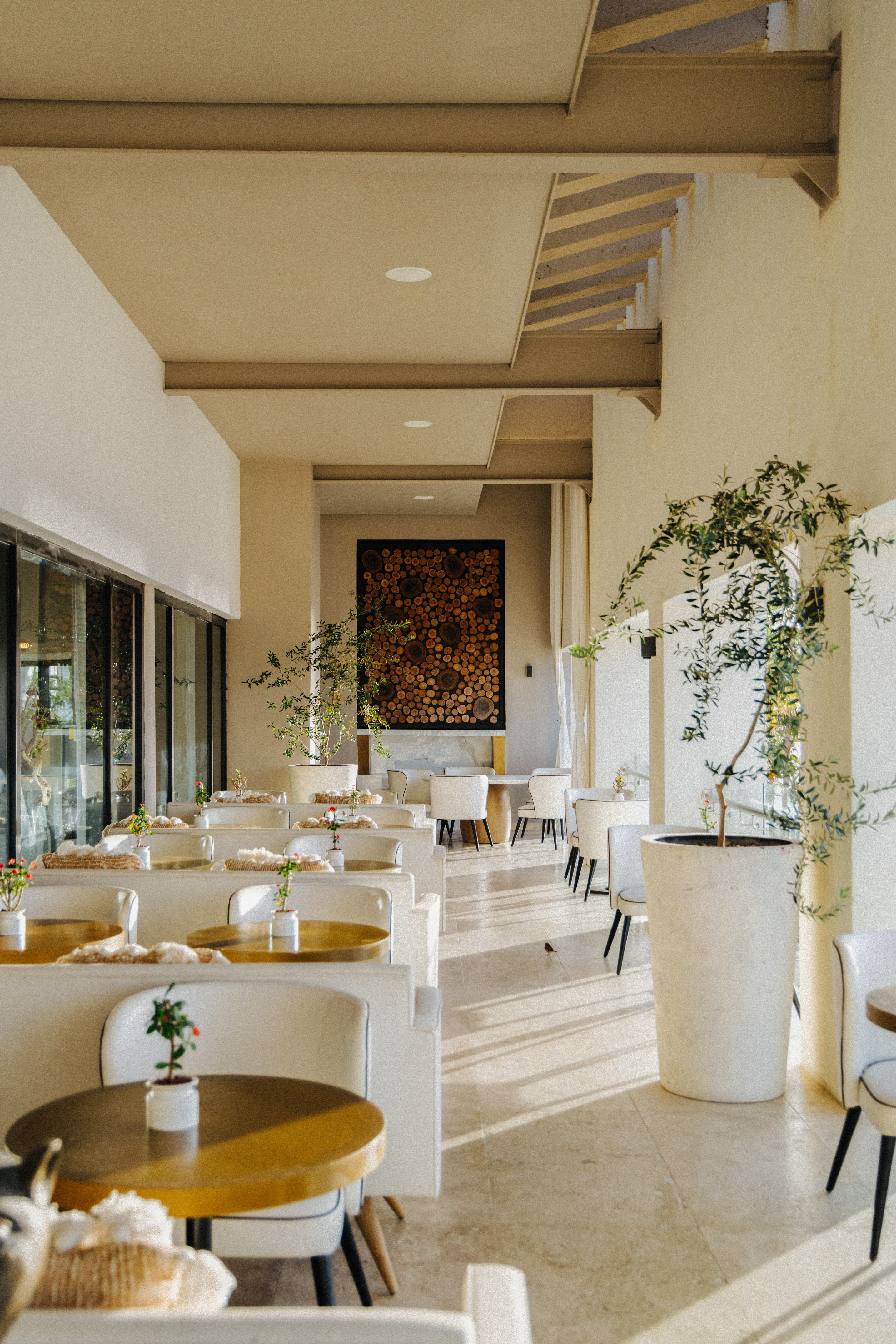 Bright restaurant dining area with cream booths, golden tables, and warm sunlight.