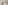 Modern hotel room: white bed, beige headboard, bedside table, green plant.