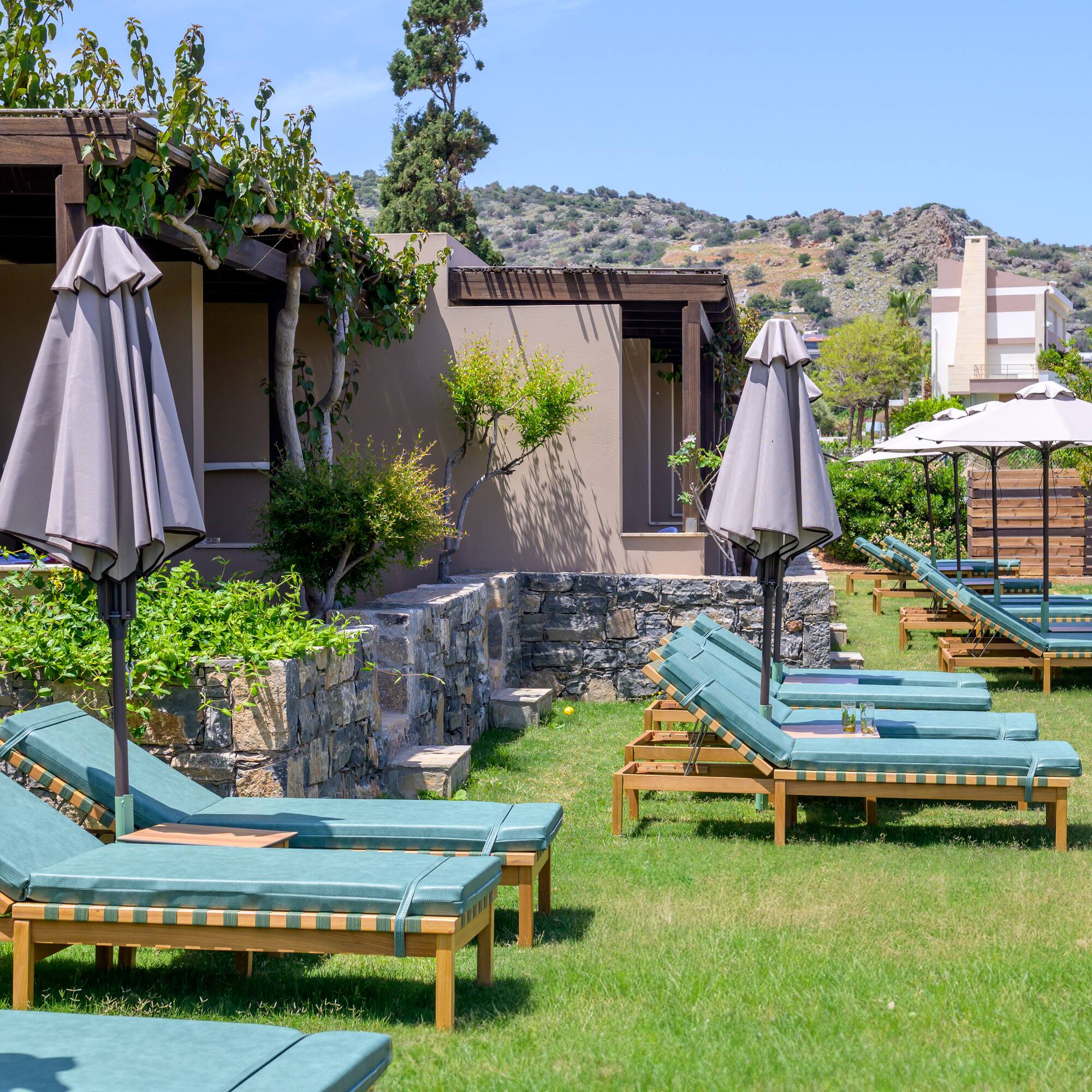a group of lounge chairs and umbrellas in a yard.