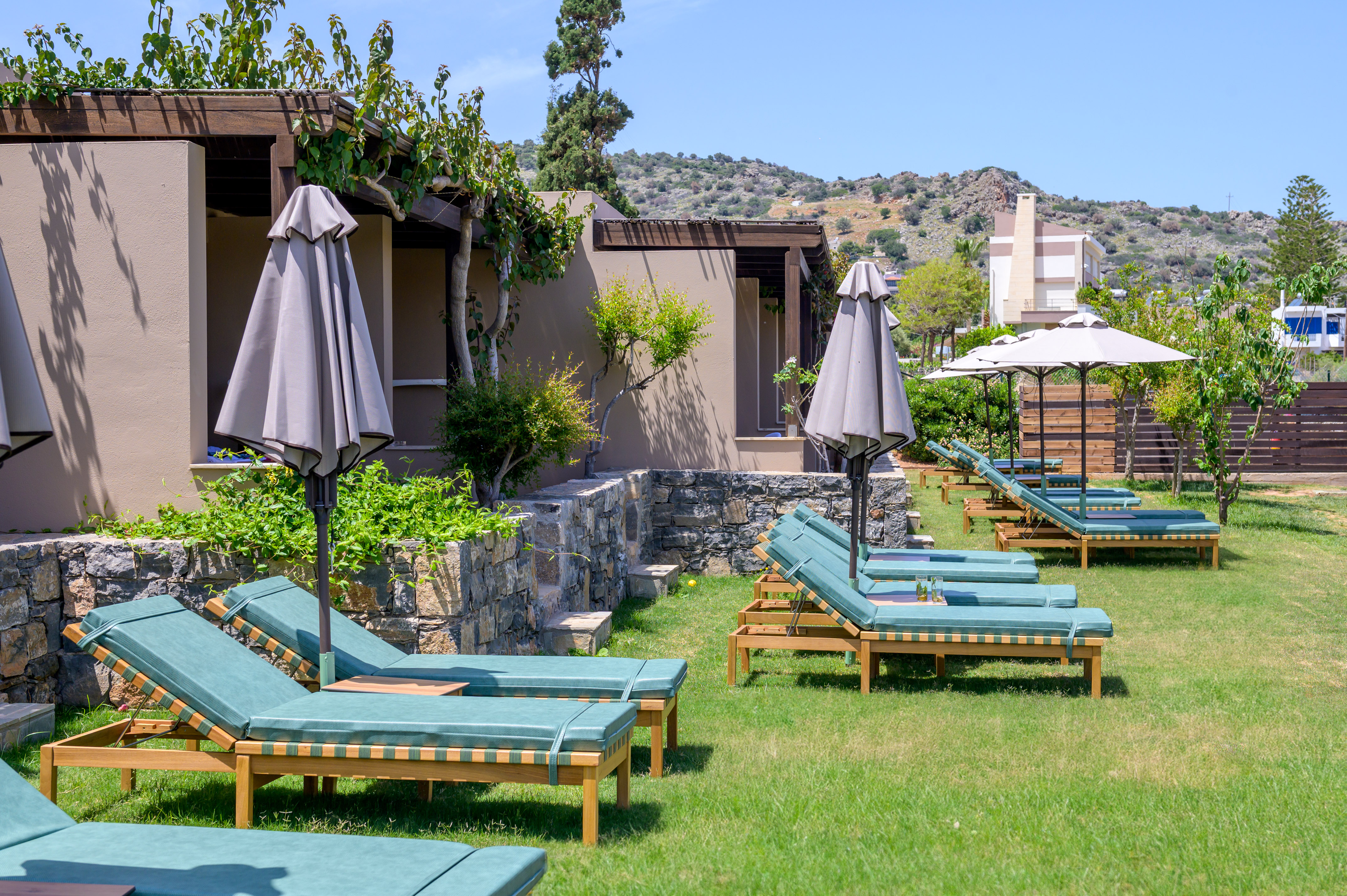 a group of lounge chairs and umbrellas in a yard.