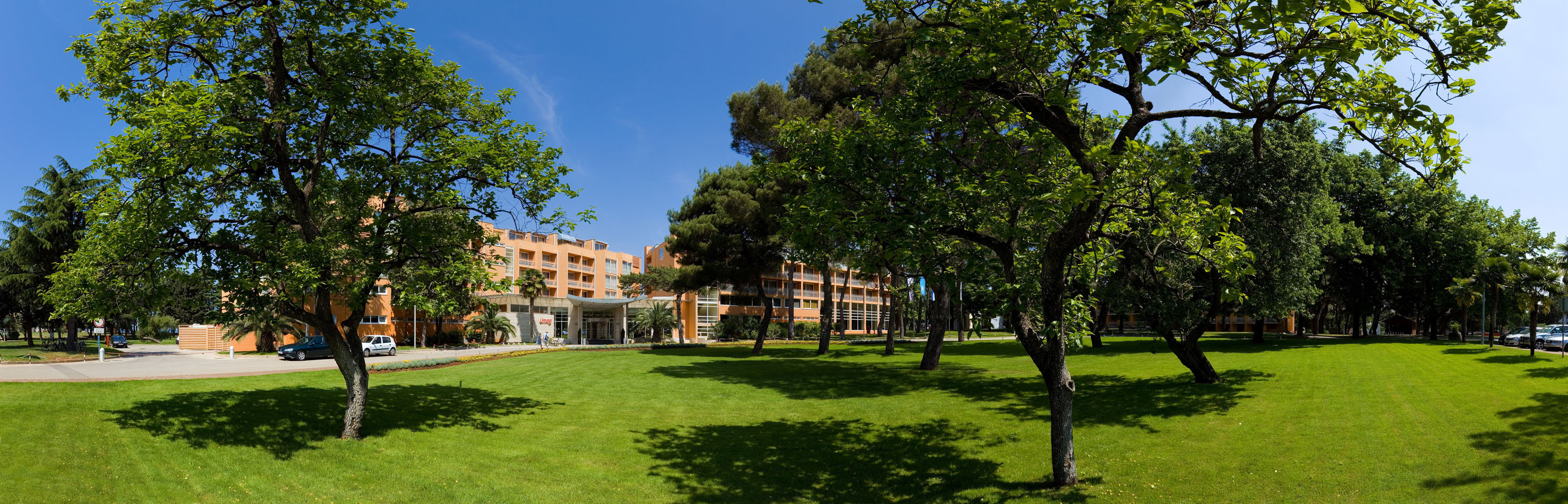 a lawn with trees and buildings in the background