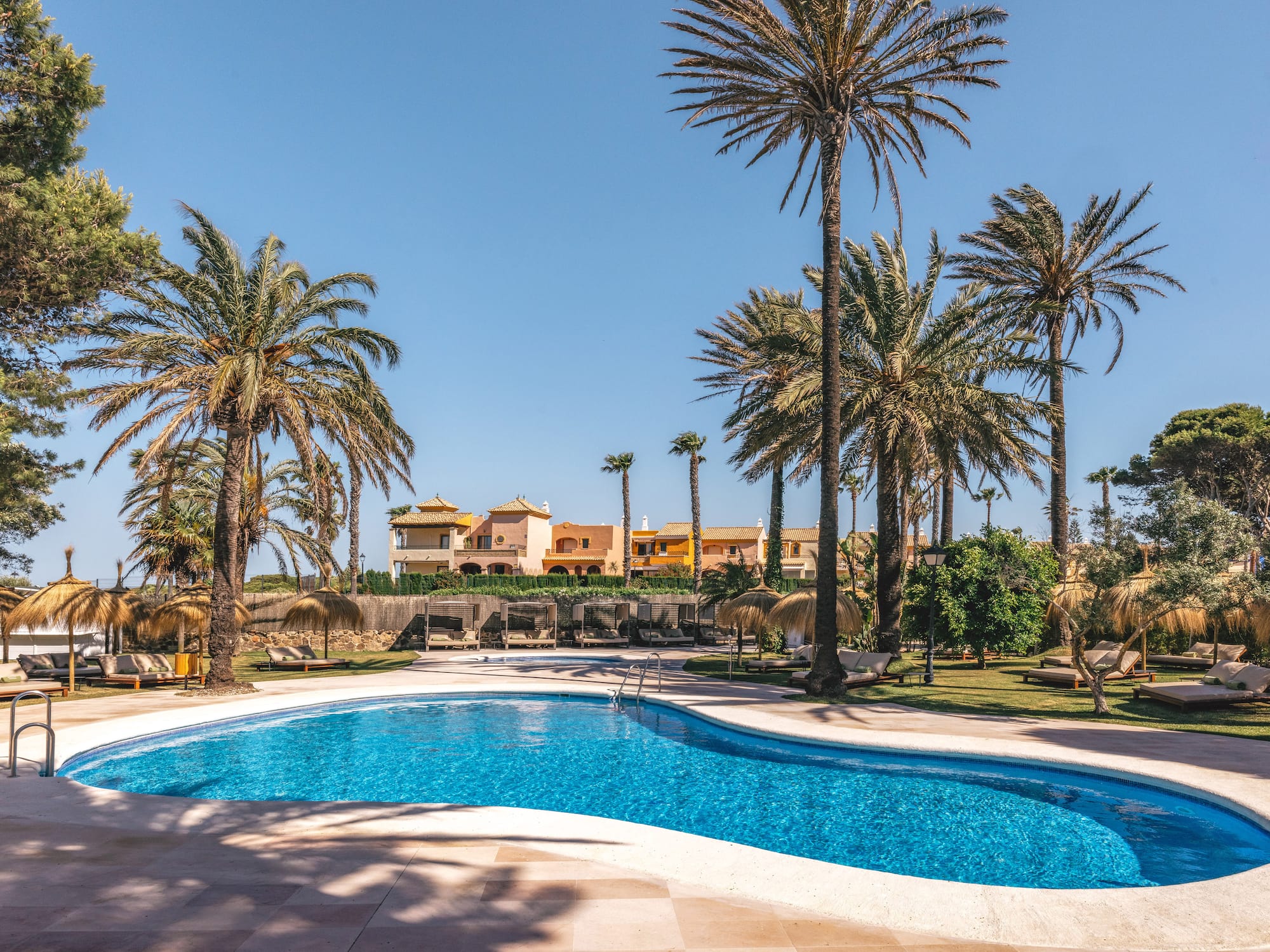 Tropical resort pool with palm trees, sun loungers, and colorful buildings.