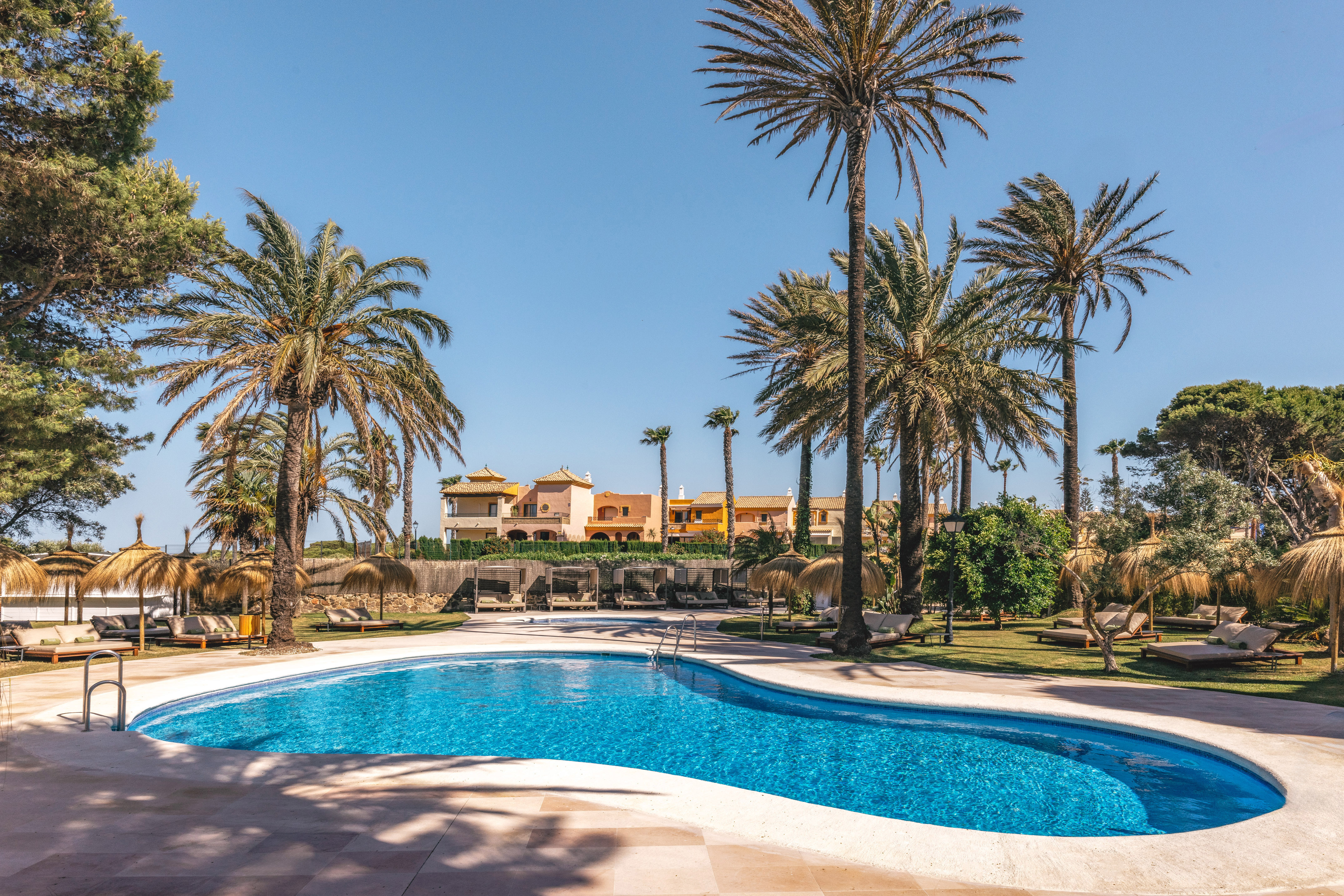 Tropical resort pool with palm trees, sun loungers, and colorful buildings.