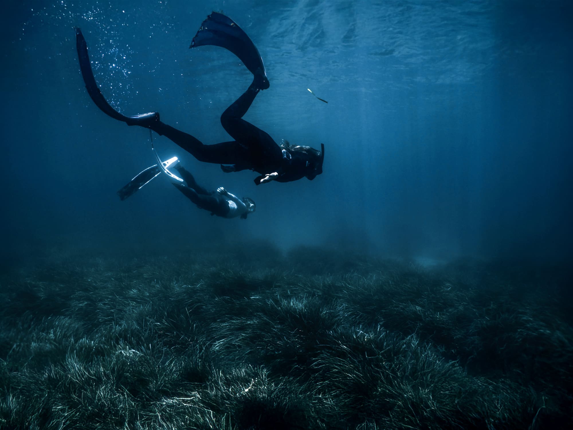 a group of people under water