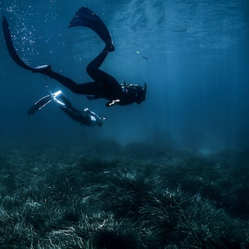 a group of people under water