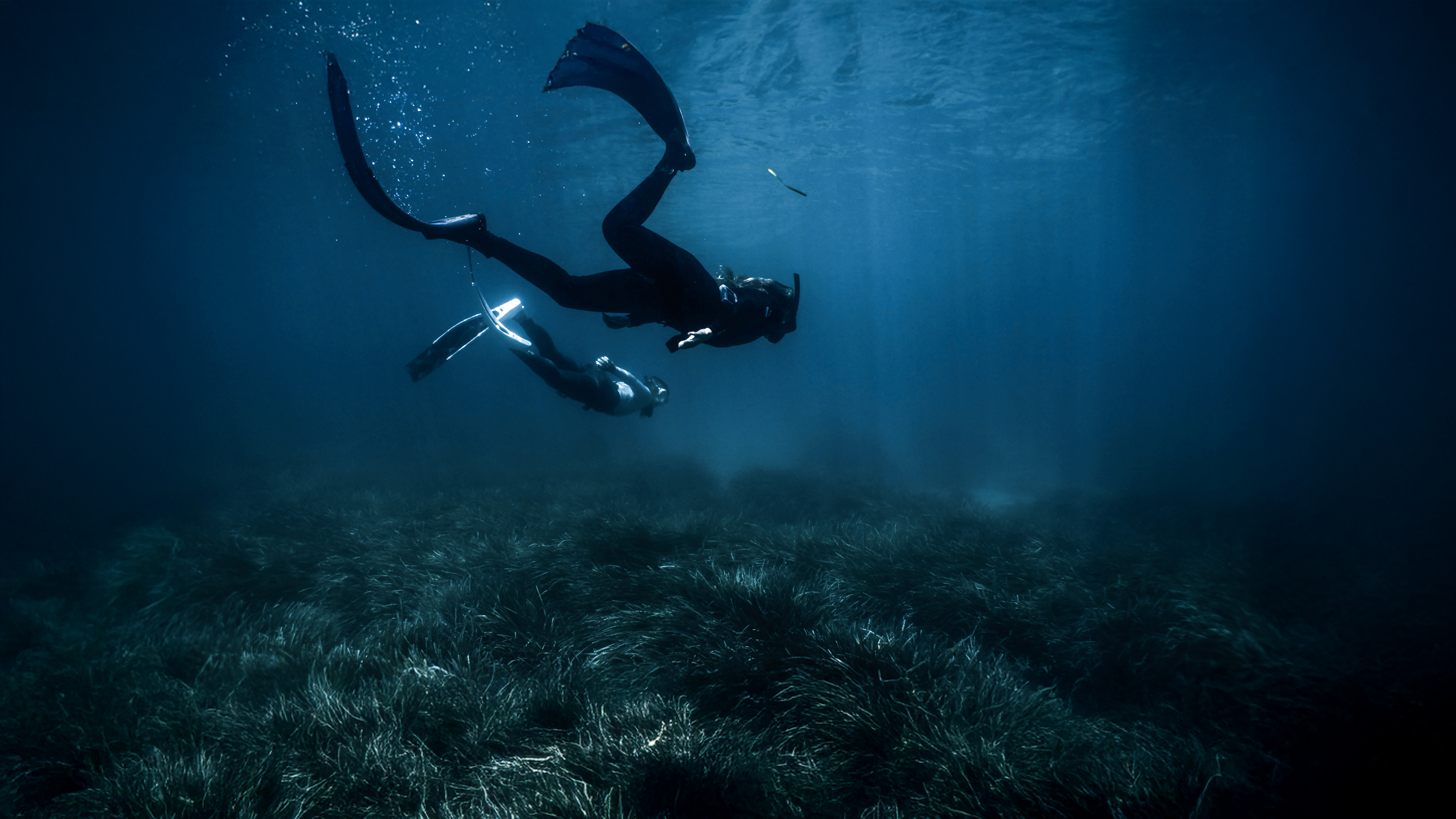 Freediving duo in dark ocean, swimming above a dense seagrass bed.