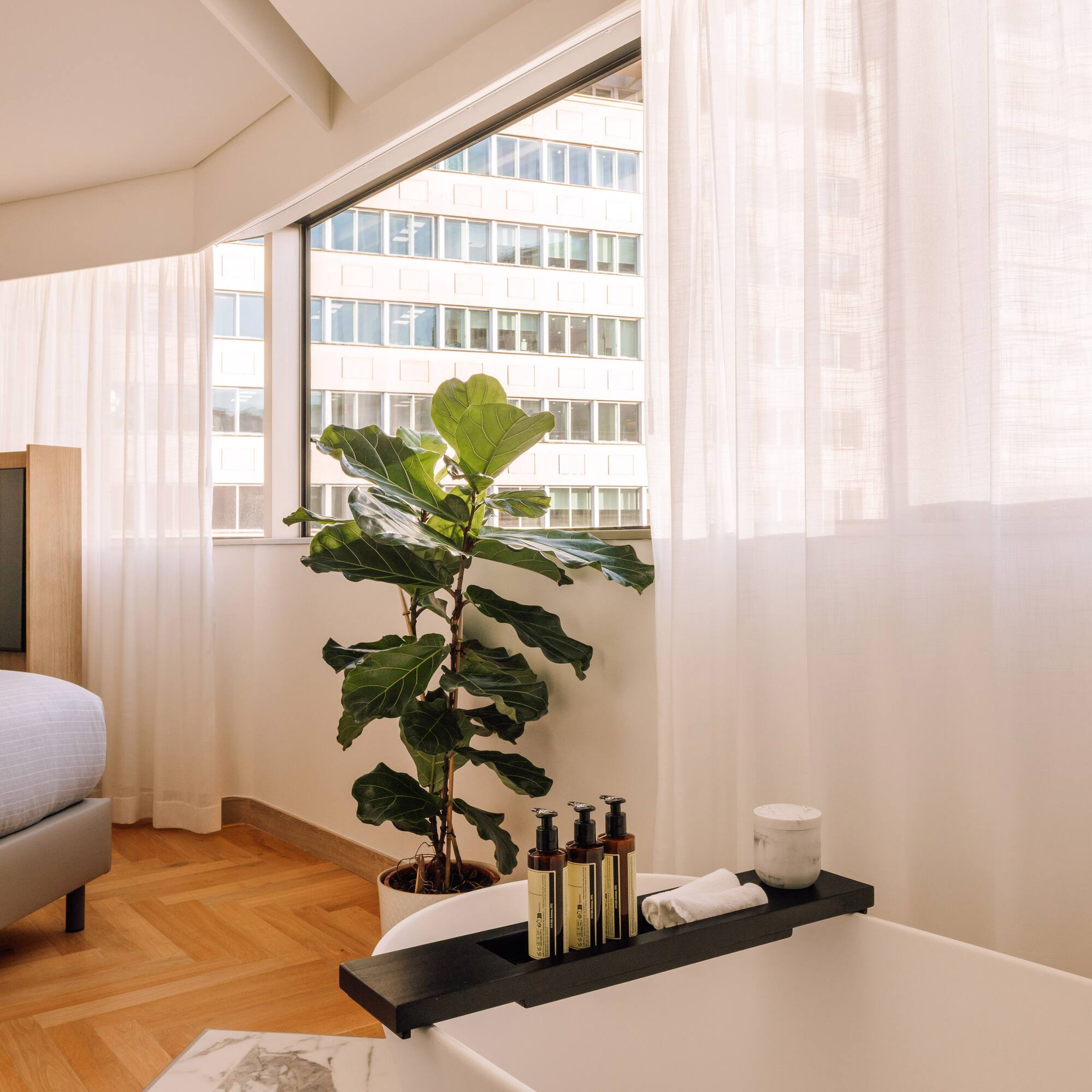 a room with a window and a plant