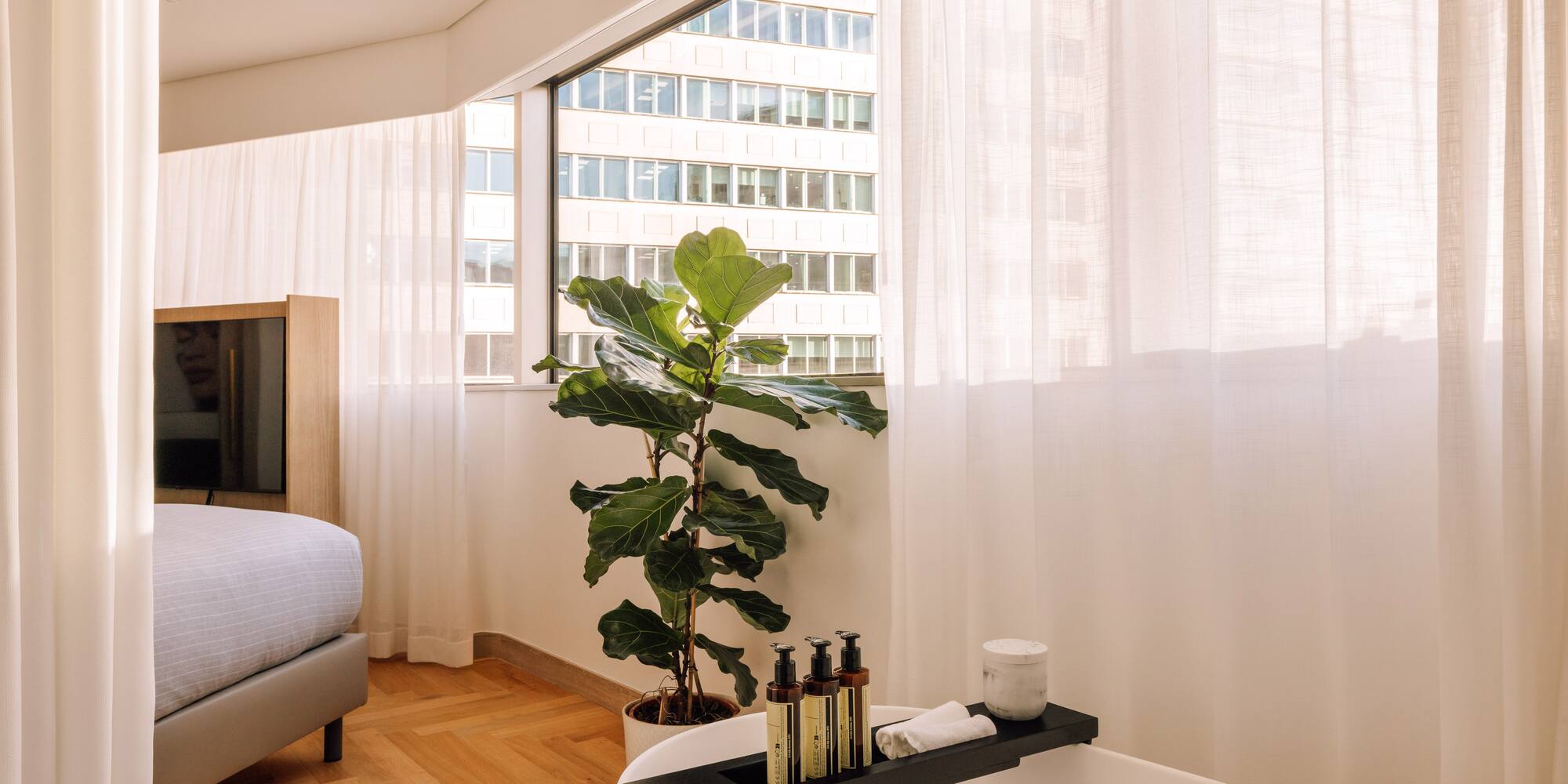 a room with a window and a plant