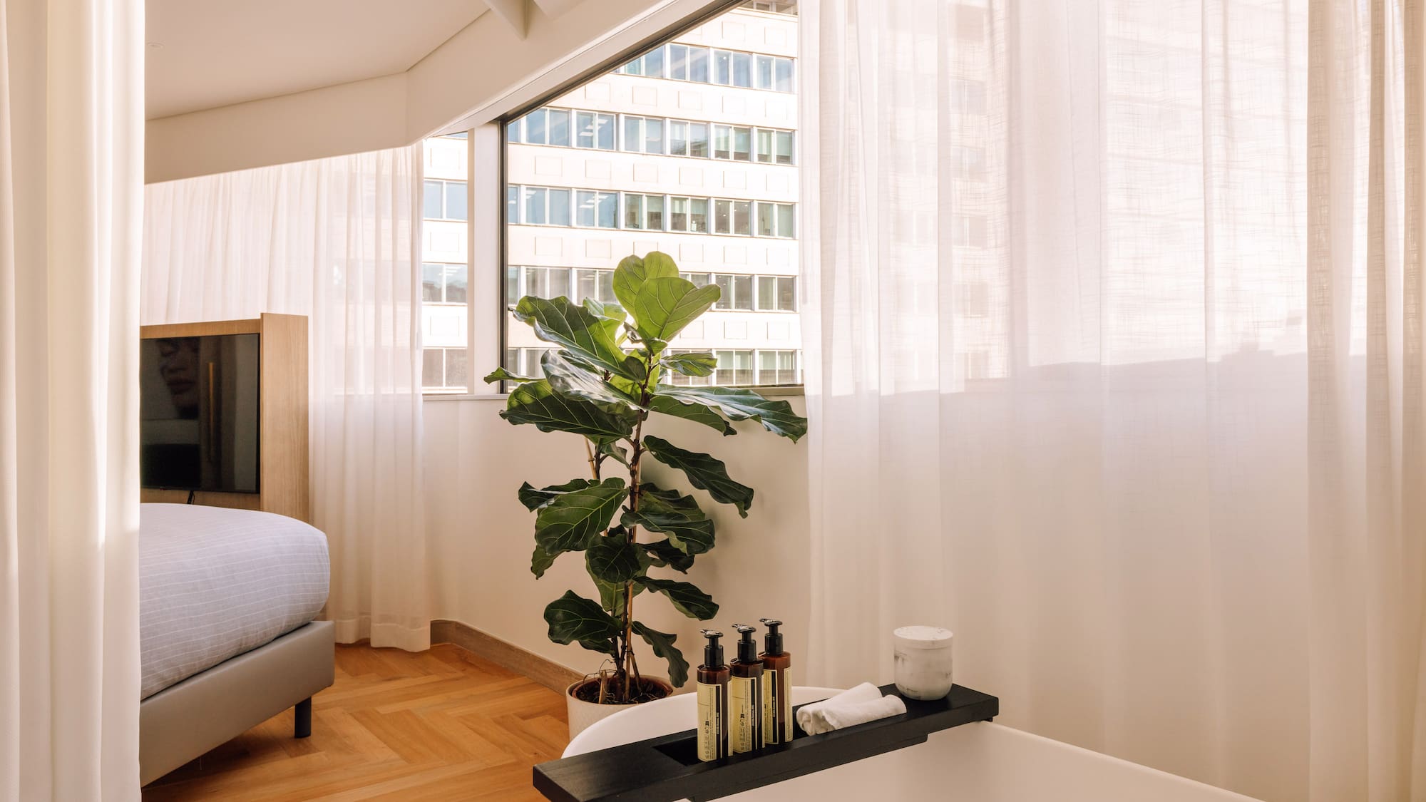 a room with a window and a plant